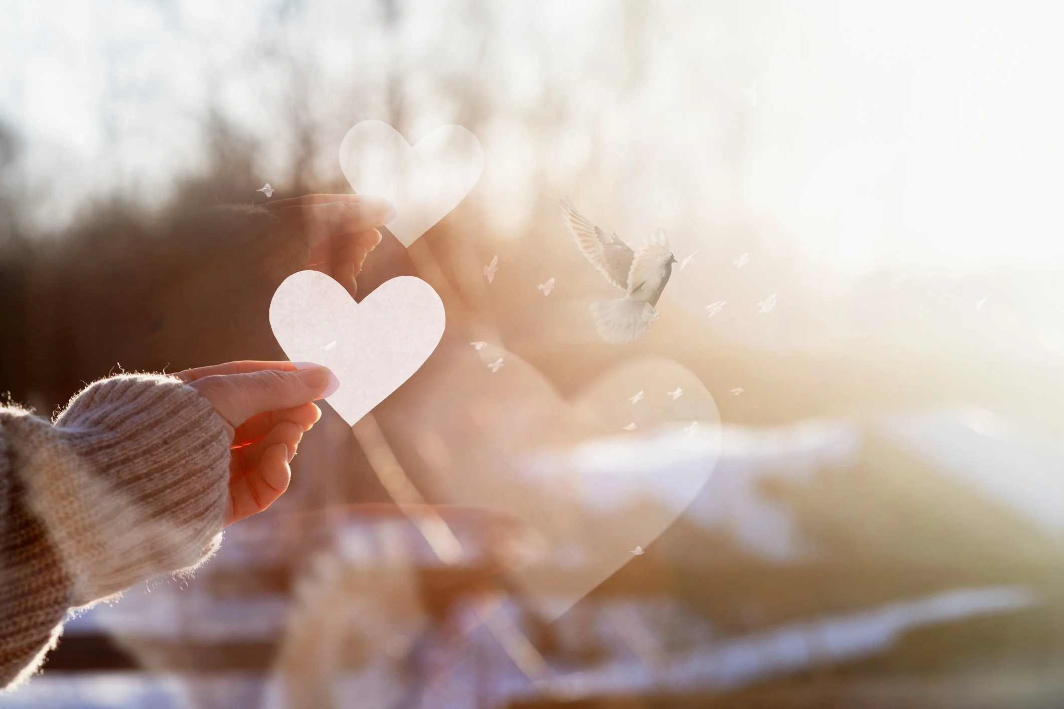 Karly Sorensen Counseling | Elizabeth Elliot | Professional Christian marriage counseling, couples therapy, and individual counseling in Mount Pleasant, Daniel Island, and Charleston, SC.
