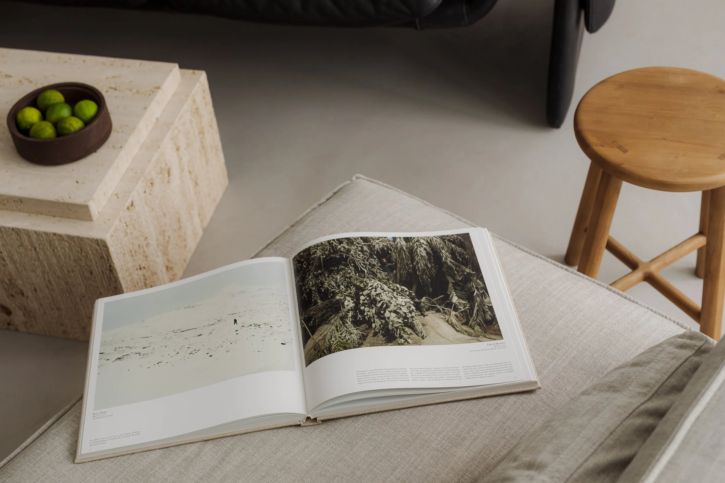 An open photo book showing black and white images of nature, placed on a beige cushioned surface. A stone block with a brown bowl of green small round fruits or vegetables is beside it. A wooden stool and part of a black chair are in the background.