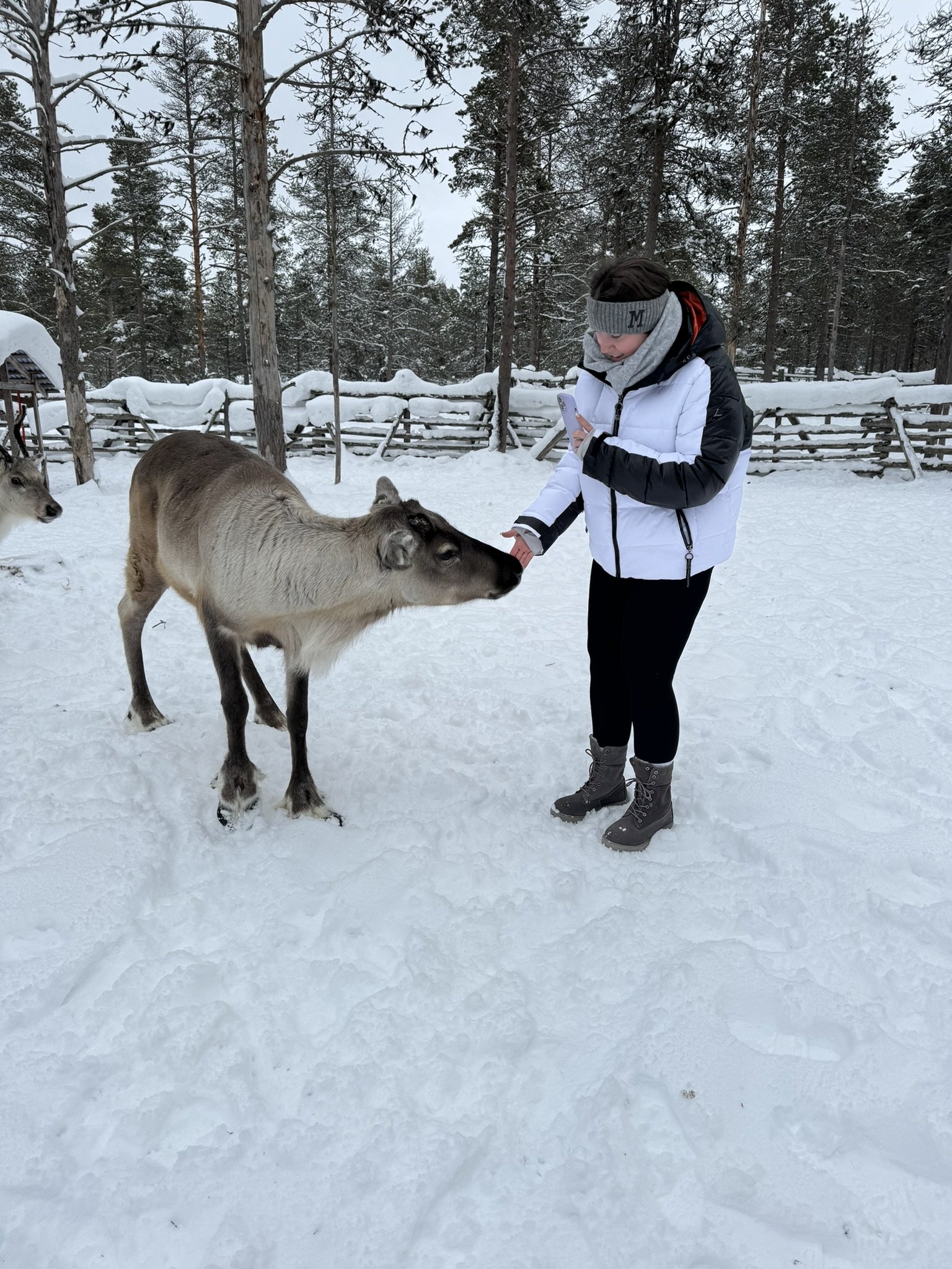 IMG_3789.JPEG