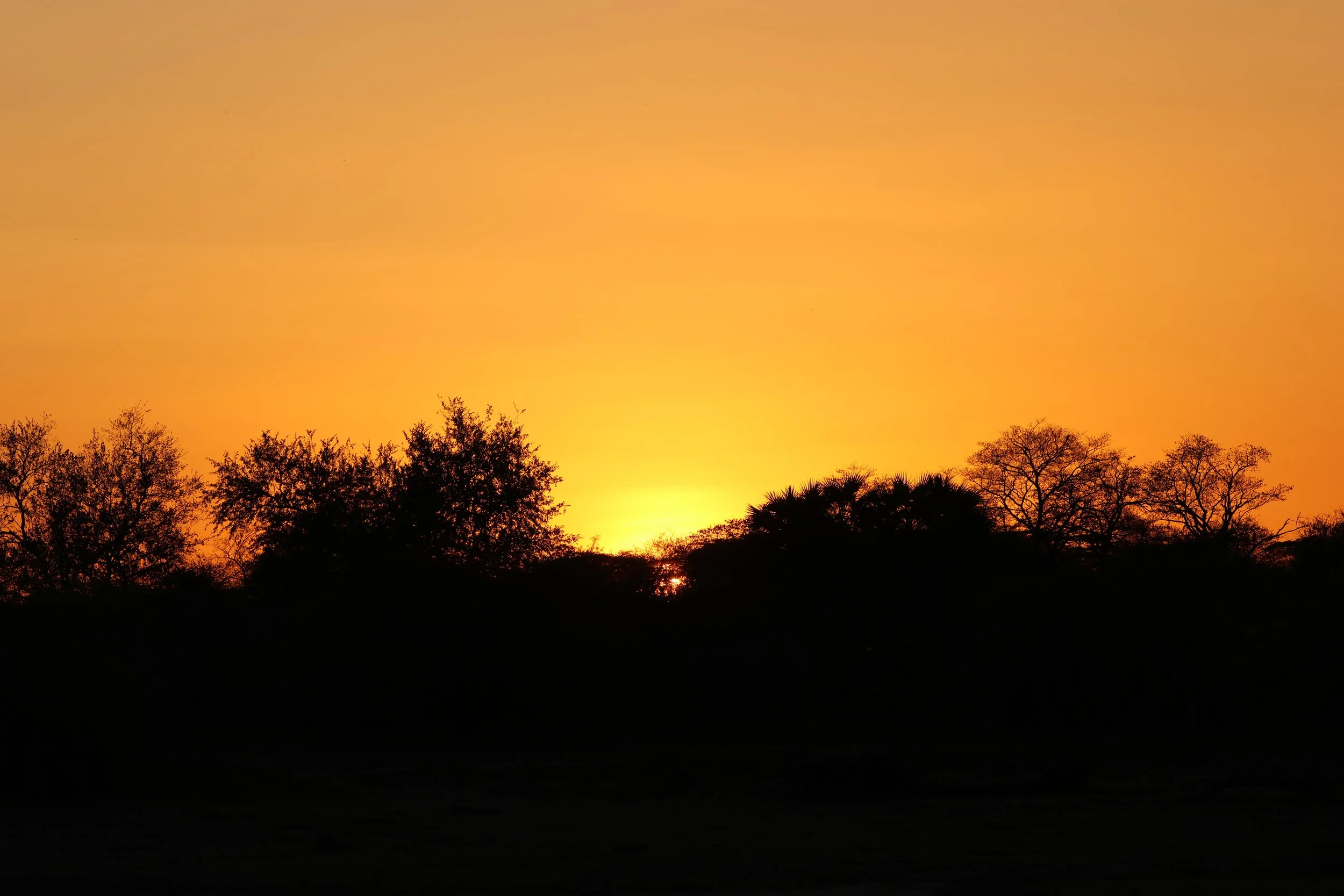 2T2A7267.JPG