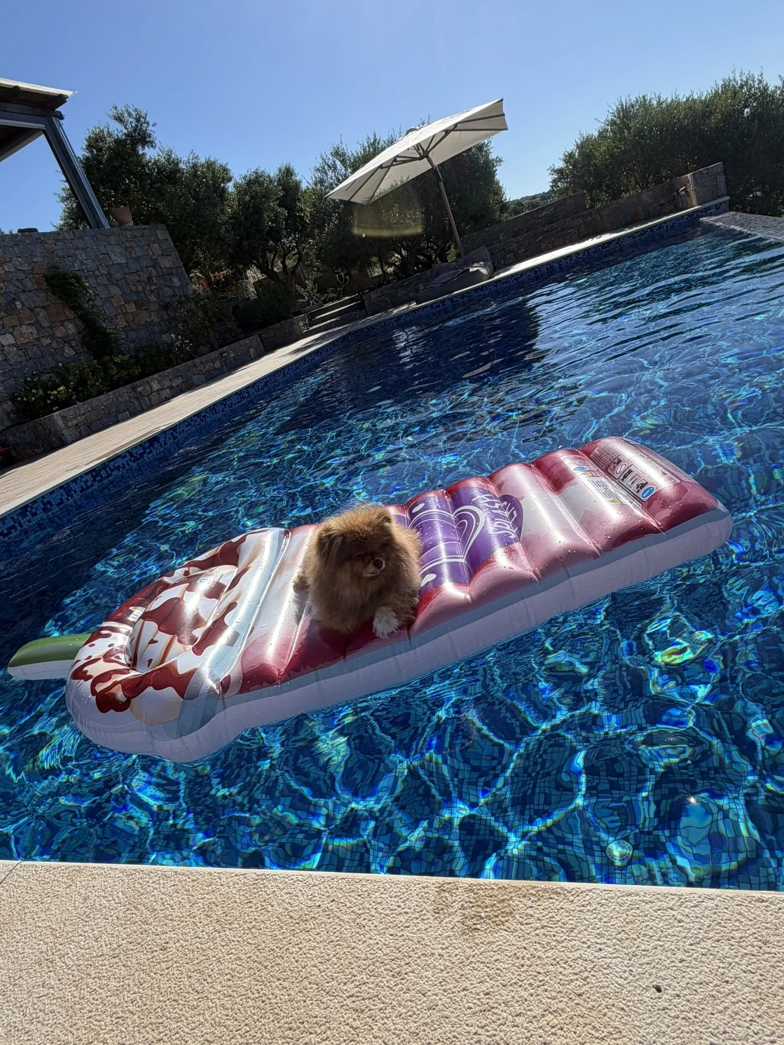 IMG_0573.JPEG