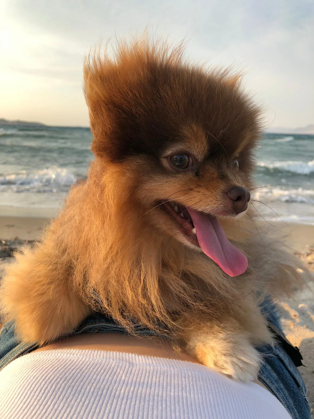 00a9391c-1517-474d-a135-640b52e7a991.jpg