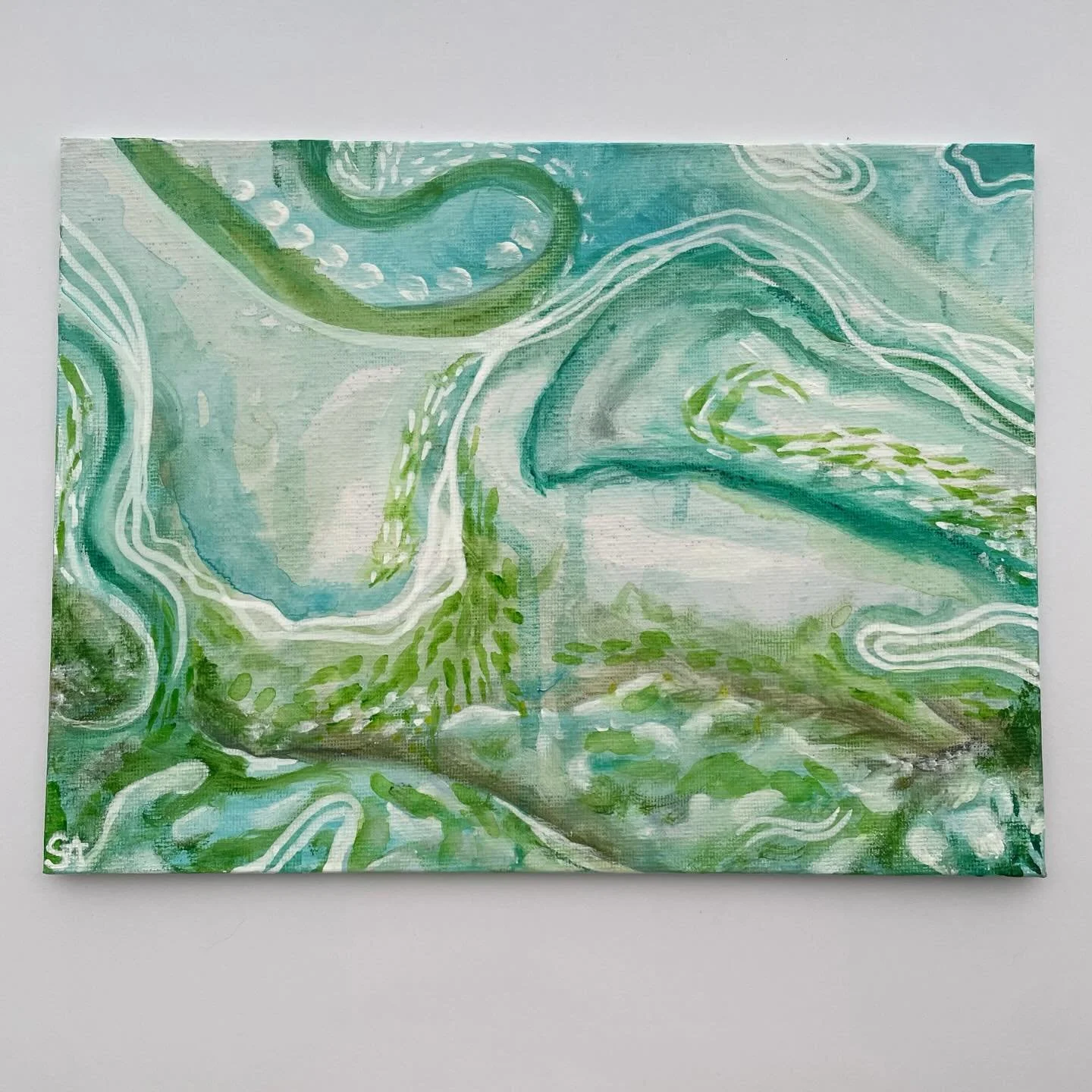 A new painting &ldquo;The Flourishing&rdquo; ☘️🫧🌿

Approx. 25 x 18cm 

For me, this painting embodies new beginnings and growth, and somehow it turned into all this green!

This one is ready for a new home and would add a soft, natural energy to an