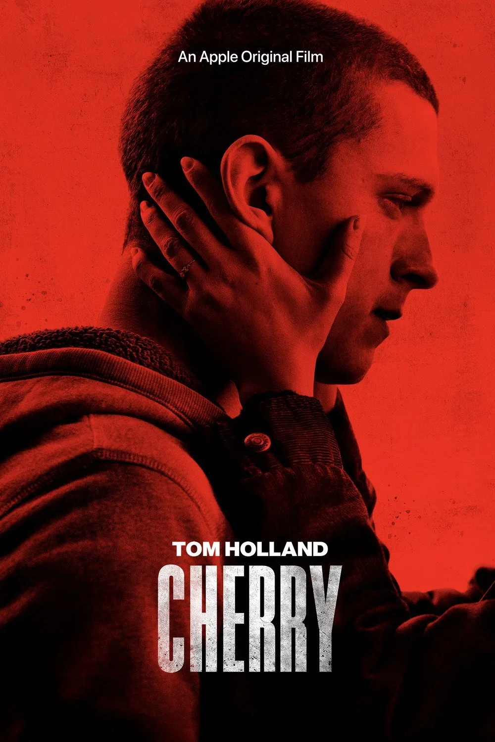 cherry_ver7_xlg.webp