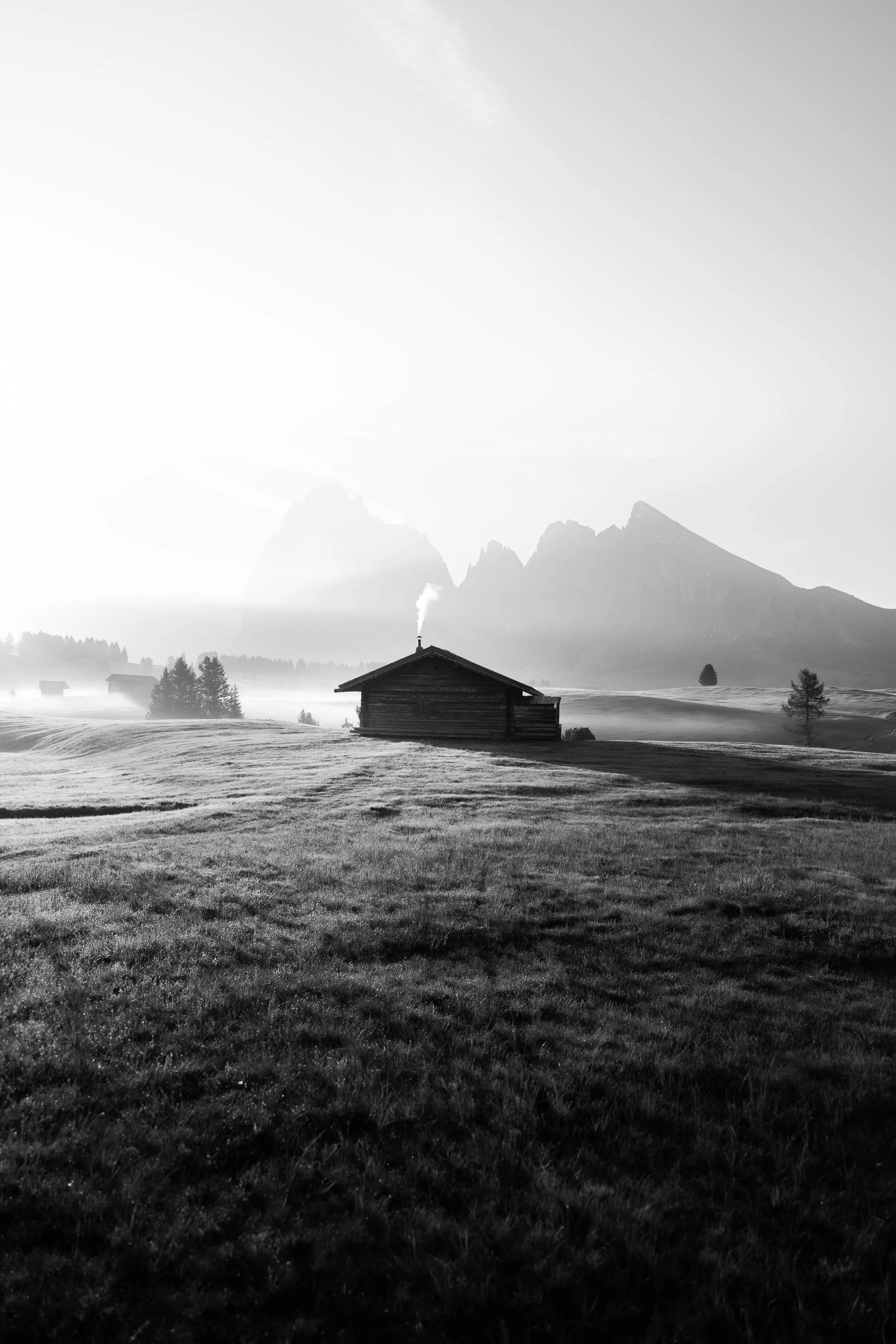 BLACK AND WHITE 