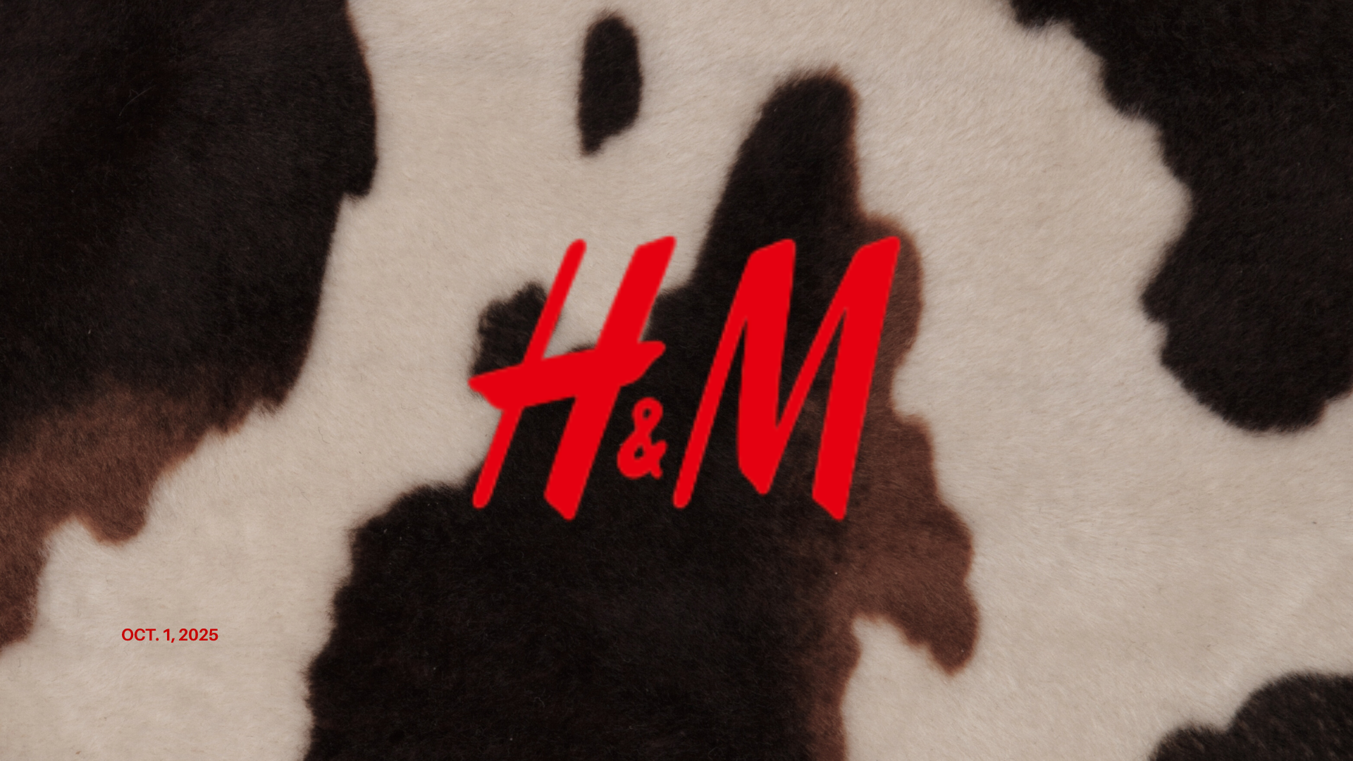 H&M Mid-mester Presentation (1).png