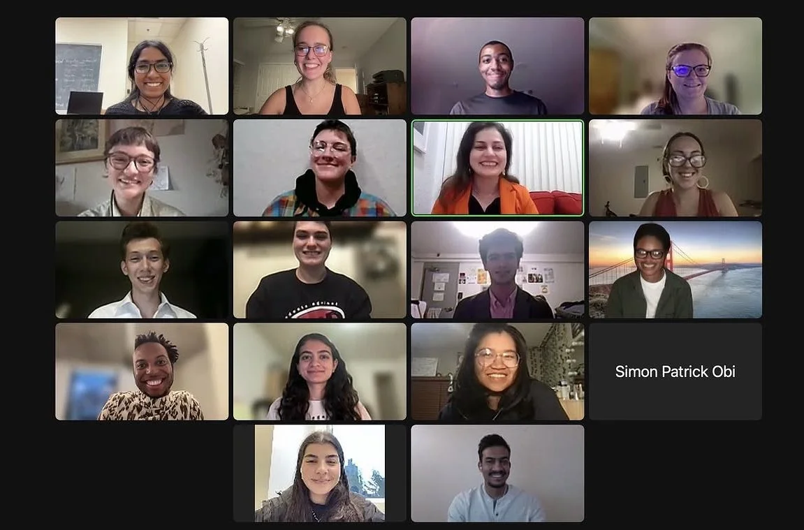 A group of 17 diverse people participating in a virtual meeting on a video conferencing platform, smiling at their cameras.