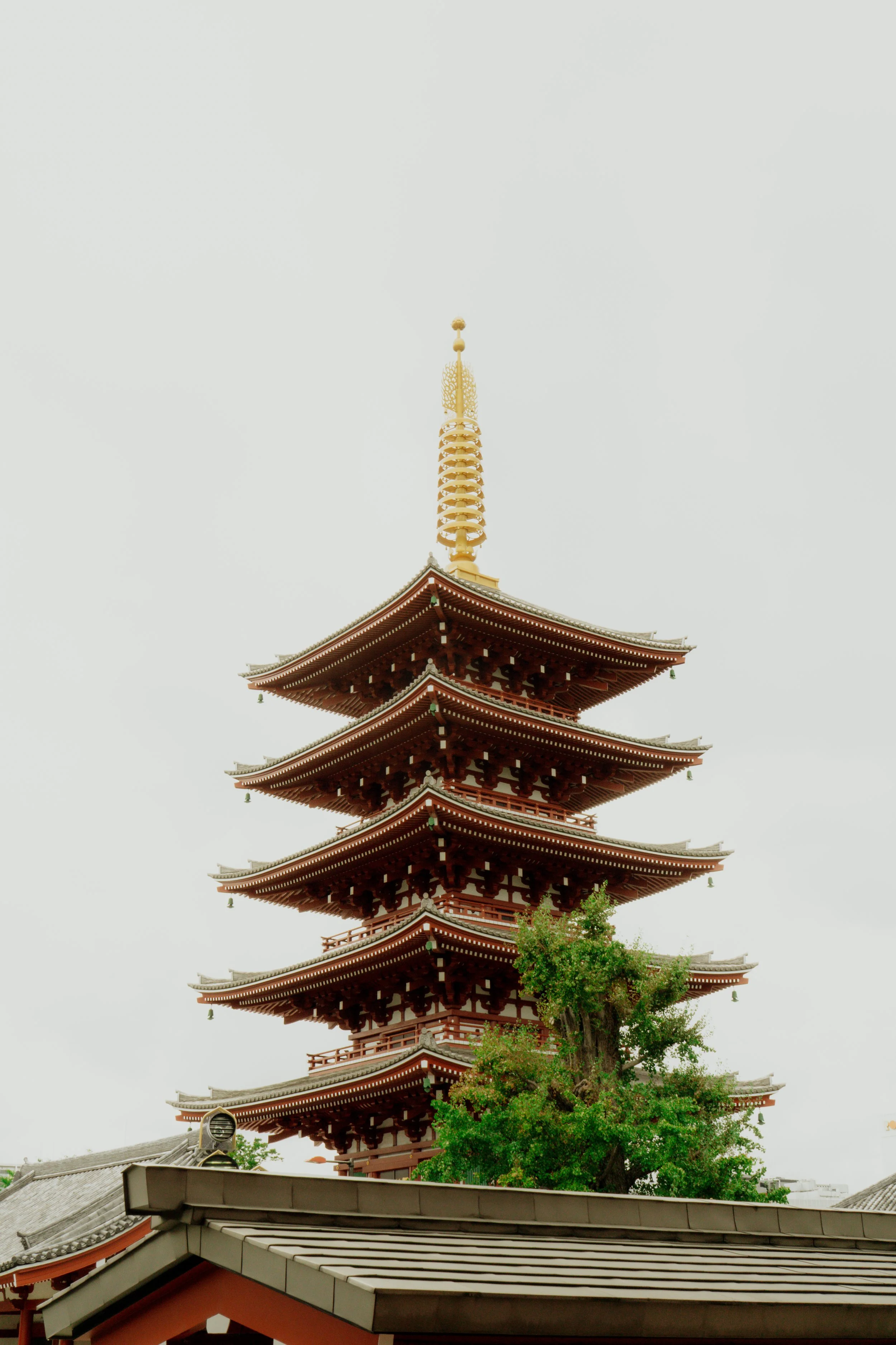 DSC09077.jpg