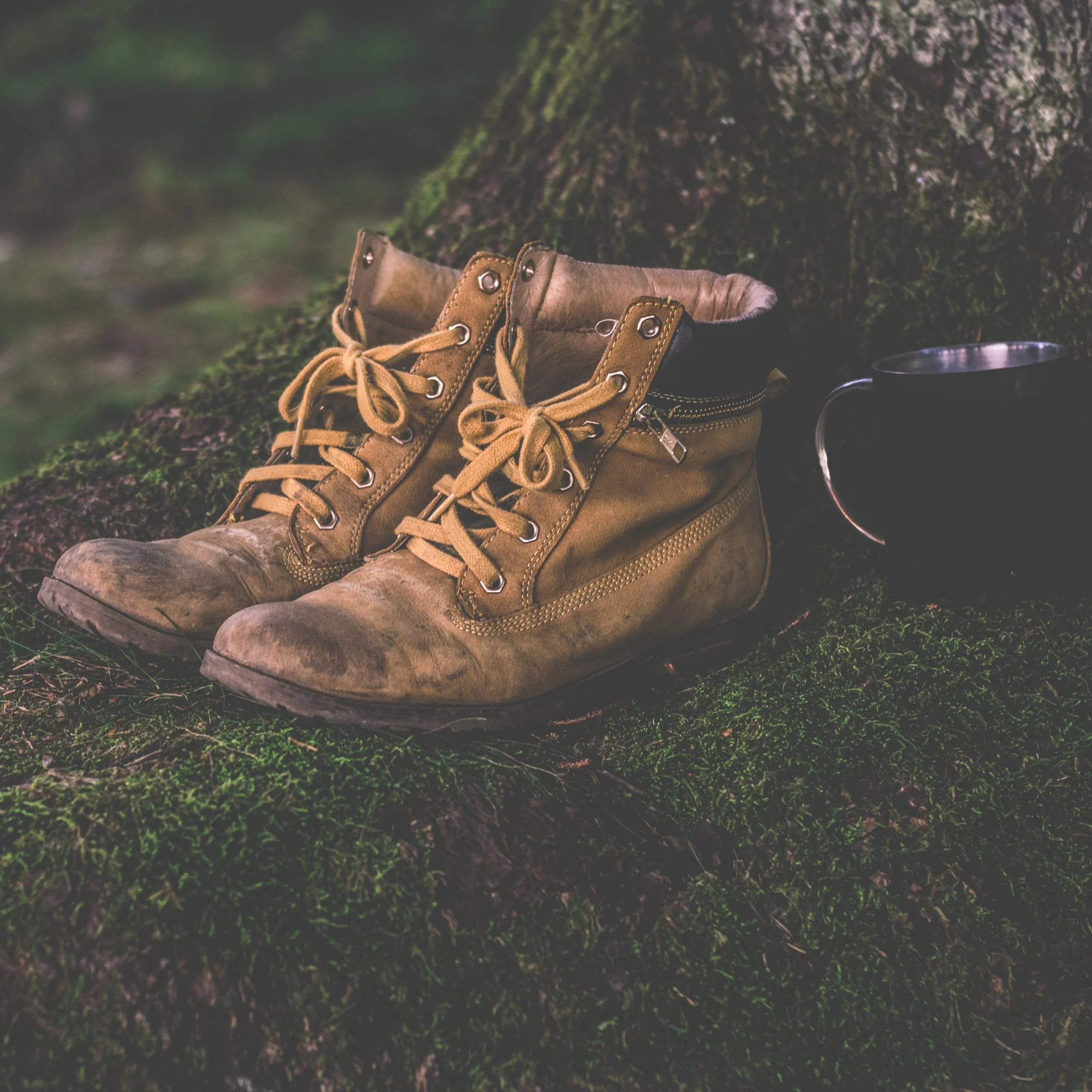 Growing the Future of Tree Care: The Cortese Arboriculture and Urban Forestry Scholarship