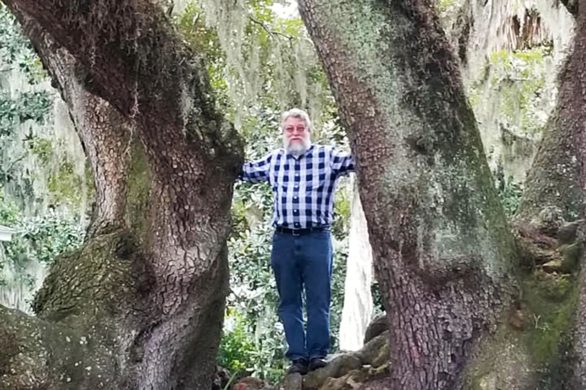 A Tree Usually Tells You Before It Gives Up