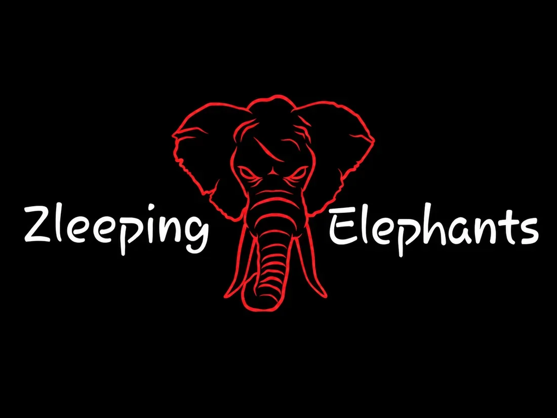 Zleeping Elephants & Support live im Rockfact Music Club