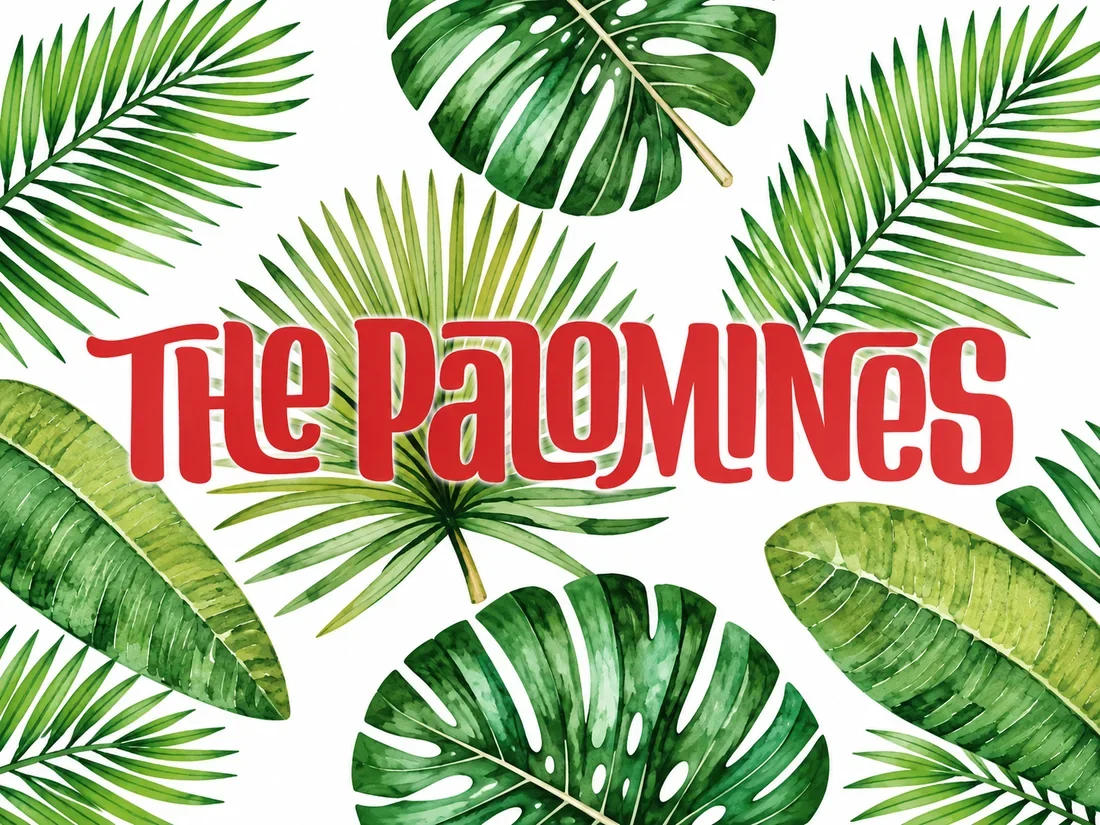 Palomines & Twang Gang live im Rockfact Music Club