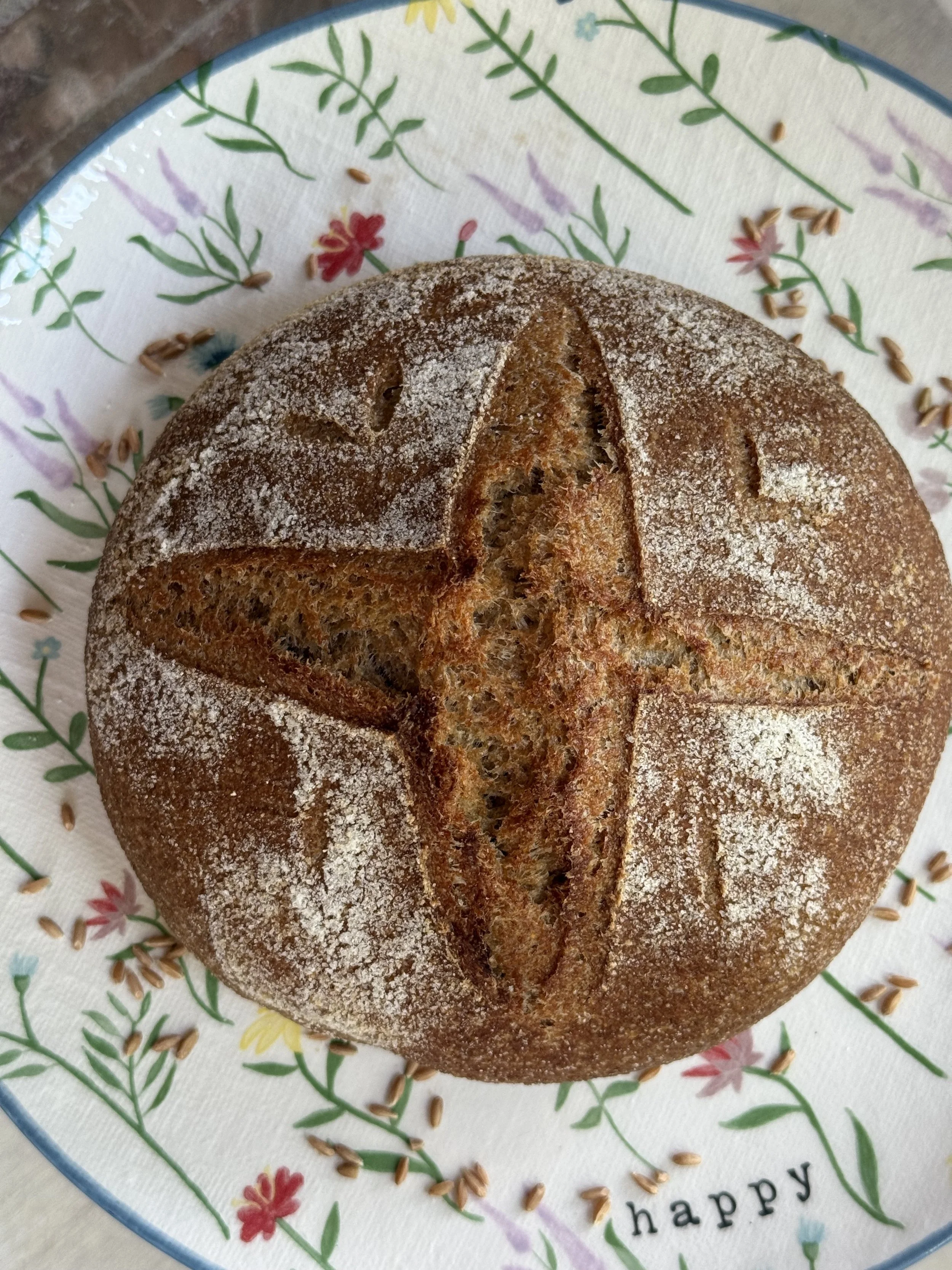 Sourdough Boule - Wheat