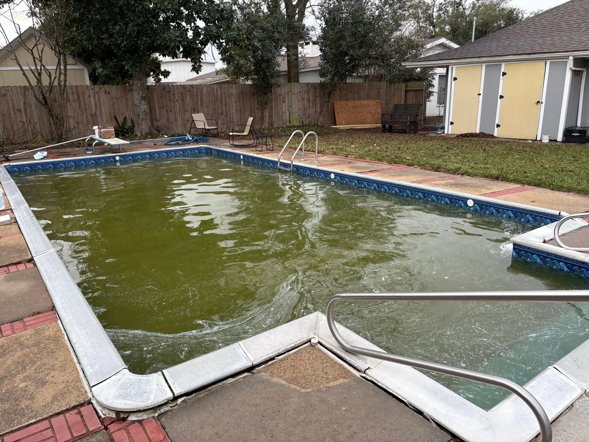 A backyard swimming pool filled with green, algae-covered water, surrounded by a concrete deck with a metal handrail, outdoor chairs, and a storage shed with yellow doors. Trees and a wooden fence are in the background.