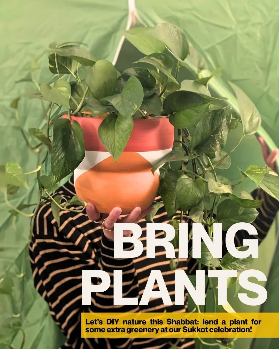 Friends: if there is *not* a massive rainstorm tomorrow, we'll be hosting our pop-up sukkah right outside Ashreynu! 

Join us for Shabbat &amp; Sukkot morning services, and we'll bring the festive celebration. Bring plants, flowers, and any decorativ