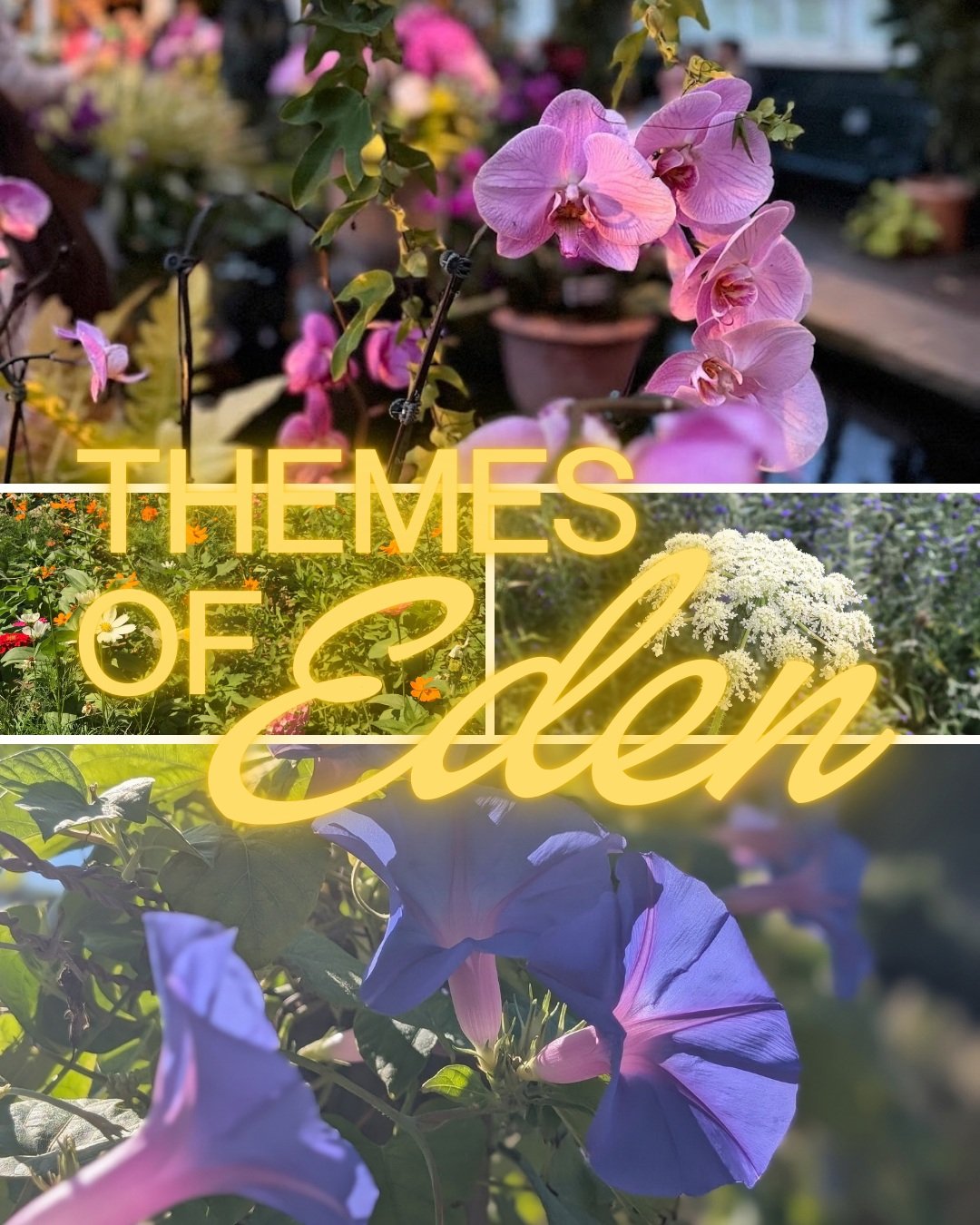You're inspired by the botanicals of Gan Eden (the snake came in a solid last place), so we're offering some last minute inspiration for tomorrow's fit. 

Whether it's a full outfit (think Met Gala, but Ashreynu) or just a touch of Eden, channel Bere