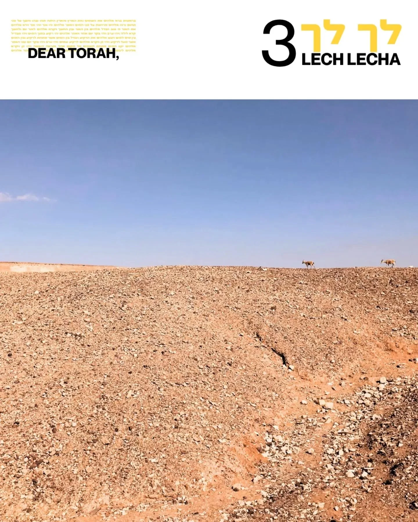 This week's parsha, Lech L&rsquo;cha, tells the story of an extraordinary journey into the unknown. 

Read the summary, explore the prompts, and choose your path. 

On Shabbat, we'll be celebrating the Ba'alat Mitzvah - a unique, innovative ceremony 