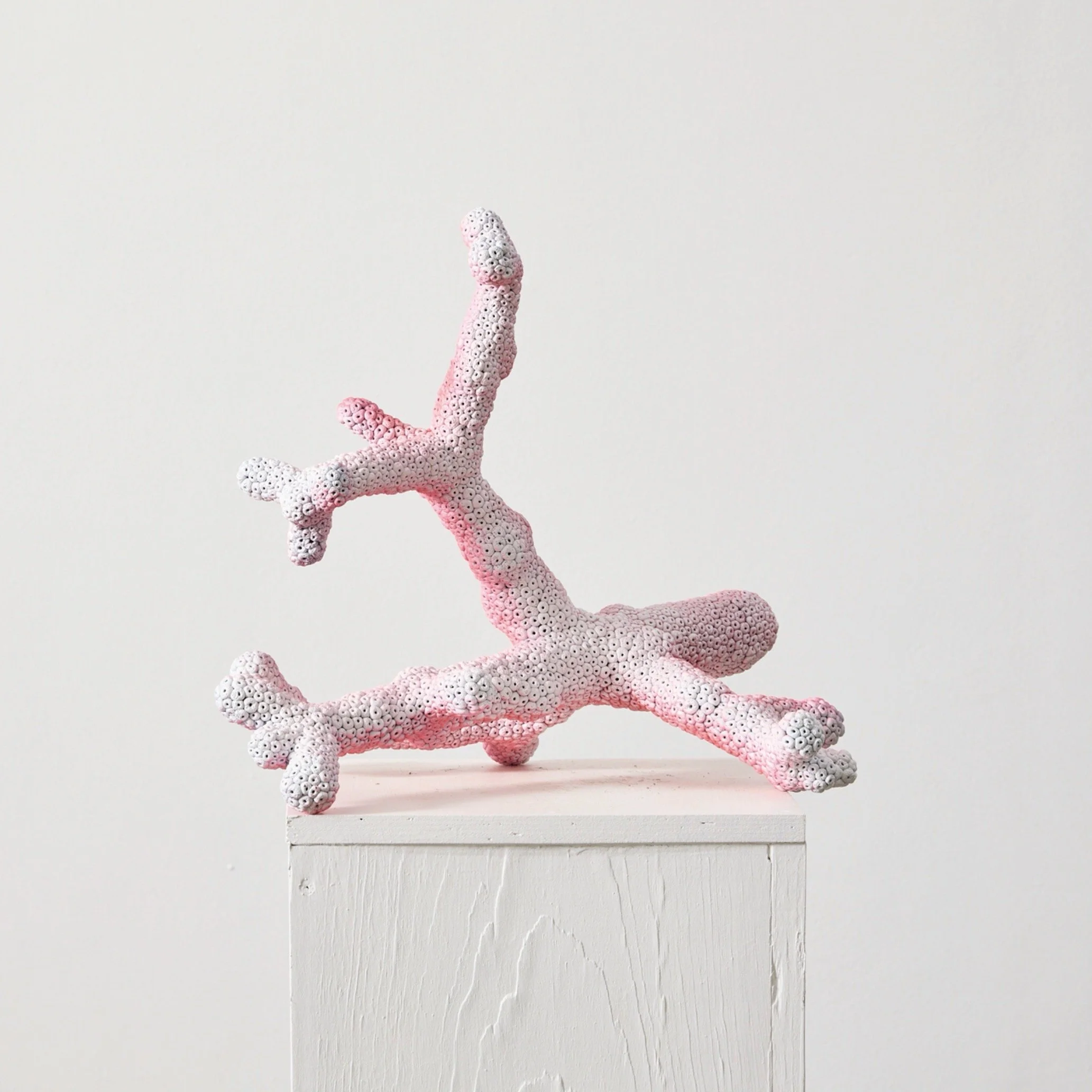 Biomorphic (branch), 2025 recycled wire, stone dust, resin and pigment approx. 16 x 20 in