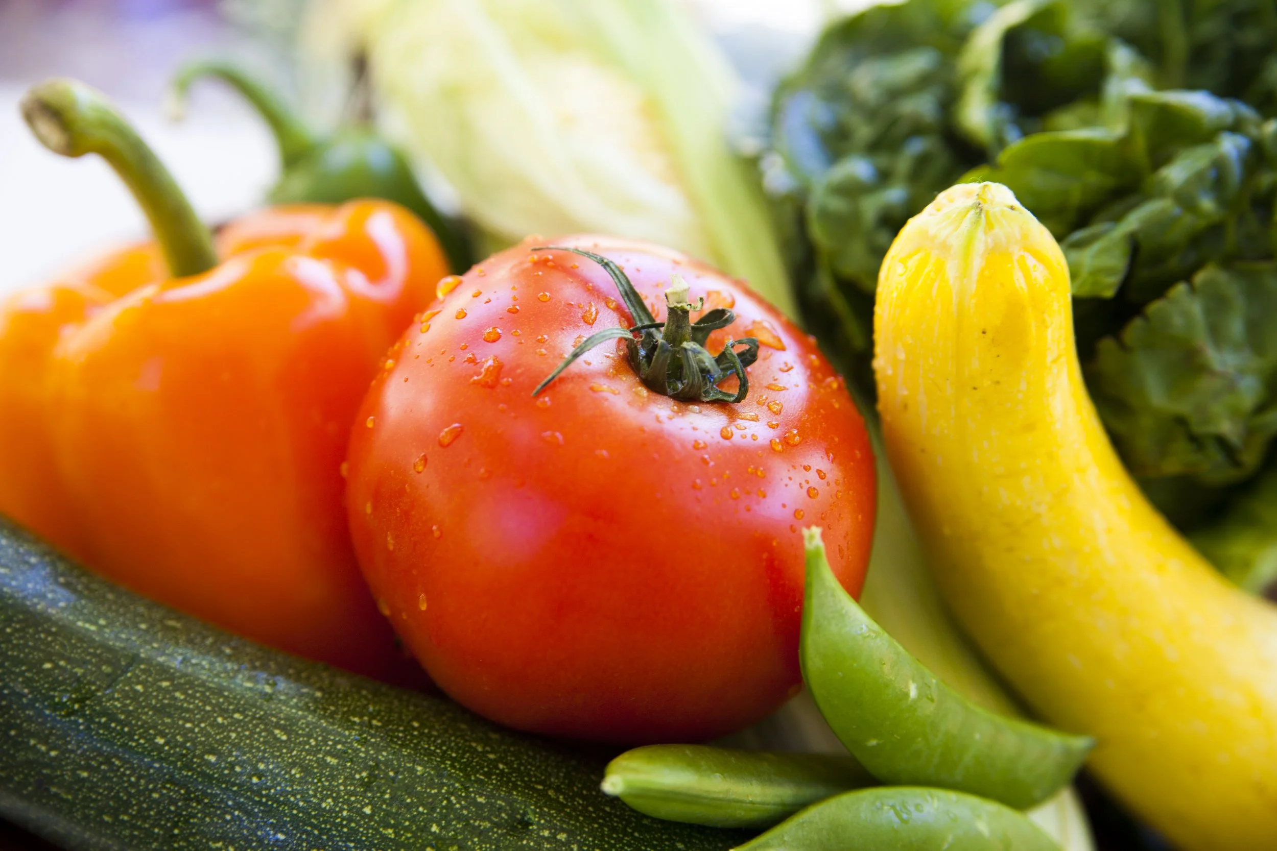 SFG Sample Veggie Medley.jpg