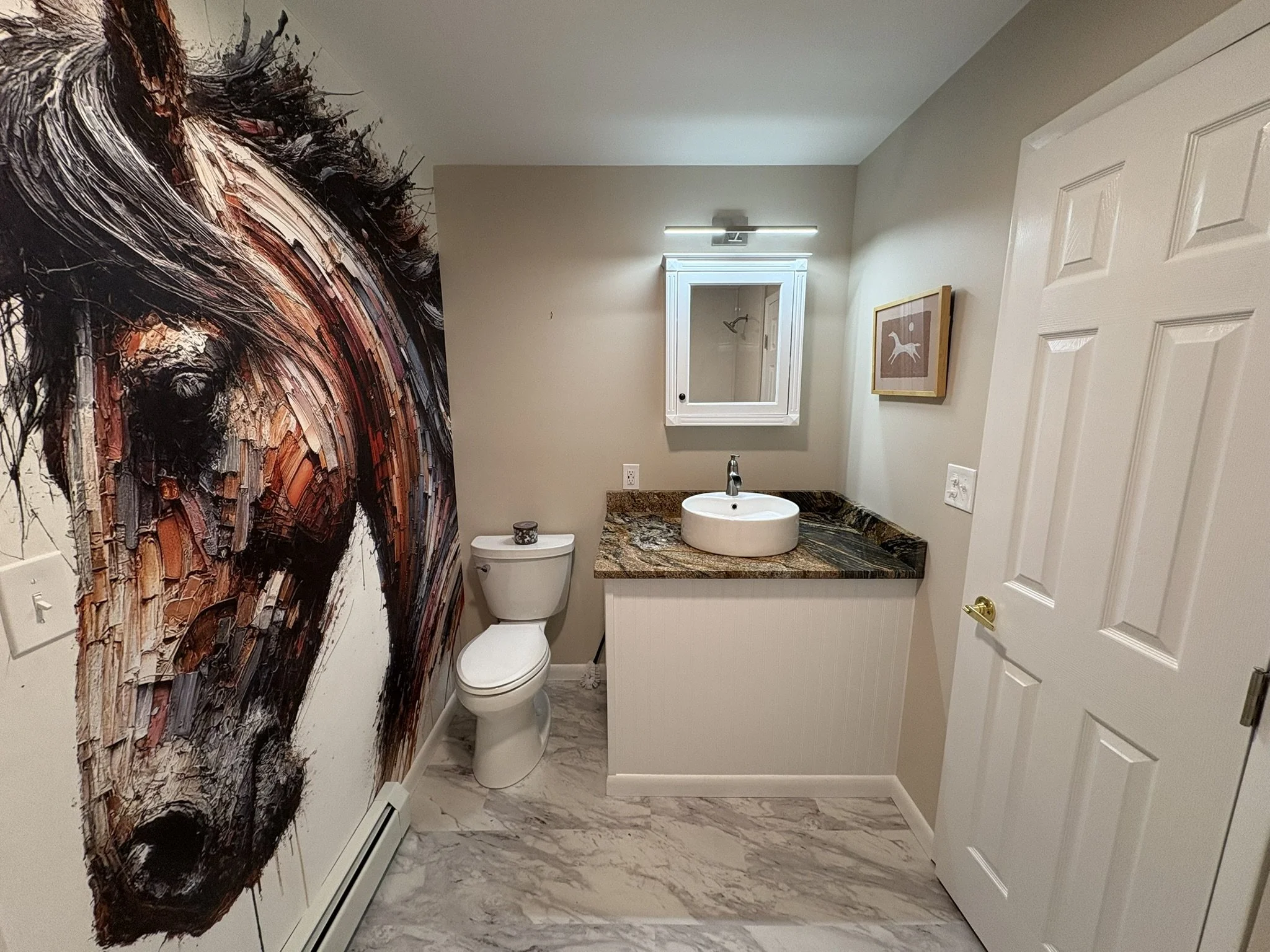 Bathroom Renovation