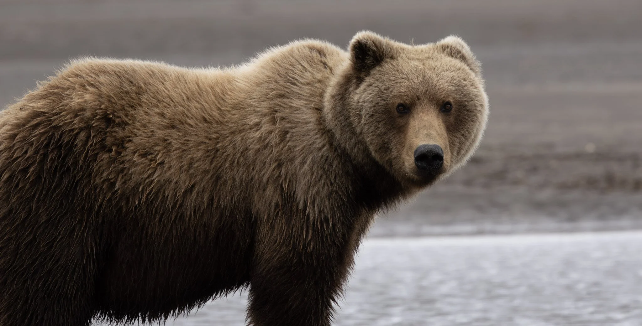 alaska-14.jpg