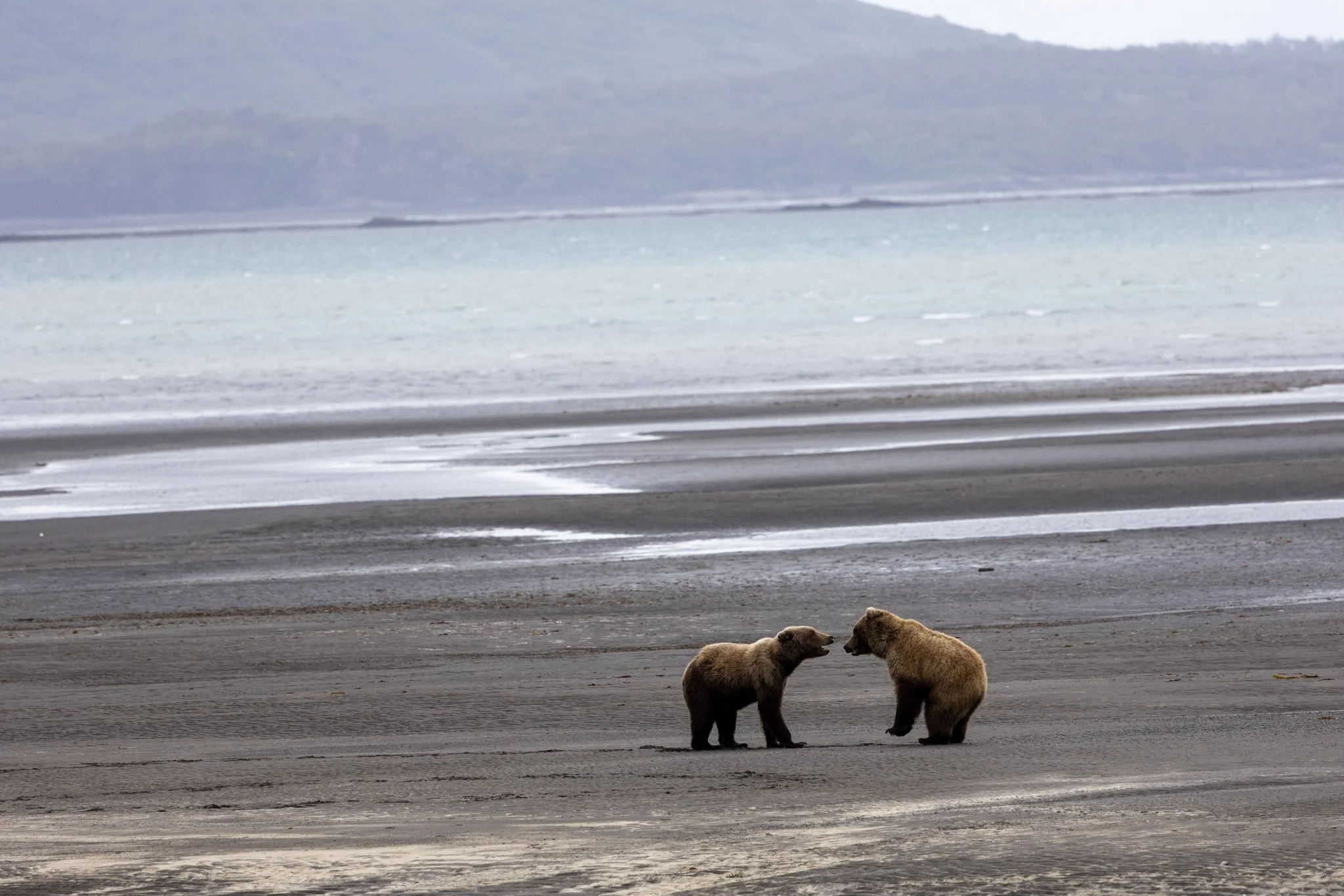alaska-10.jpg