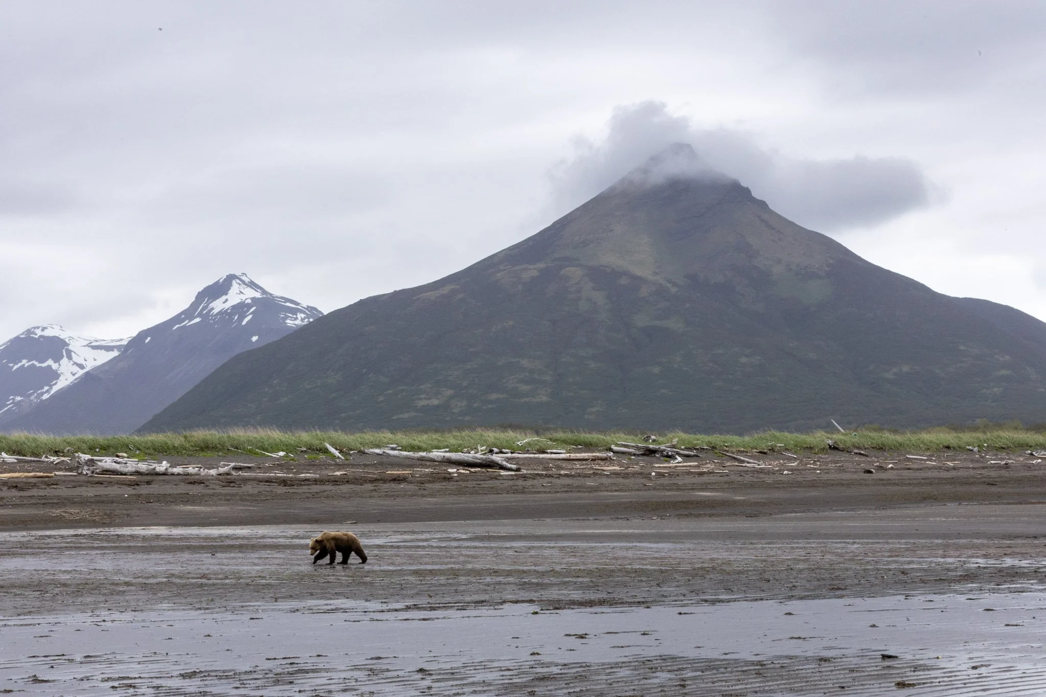 alaska-15.jpg