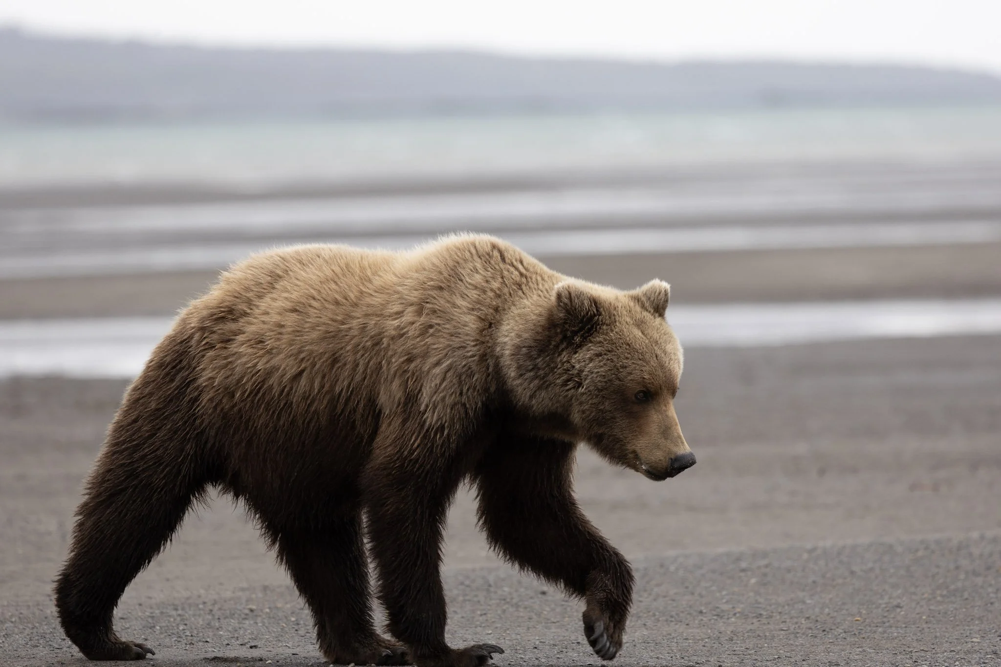alaska-13.jpg