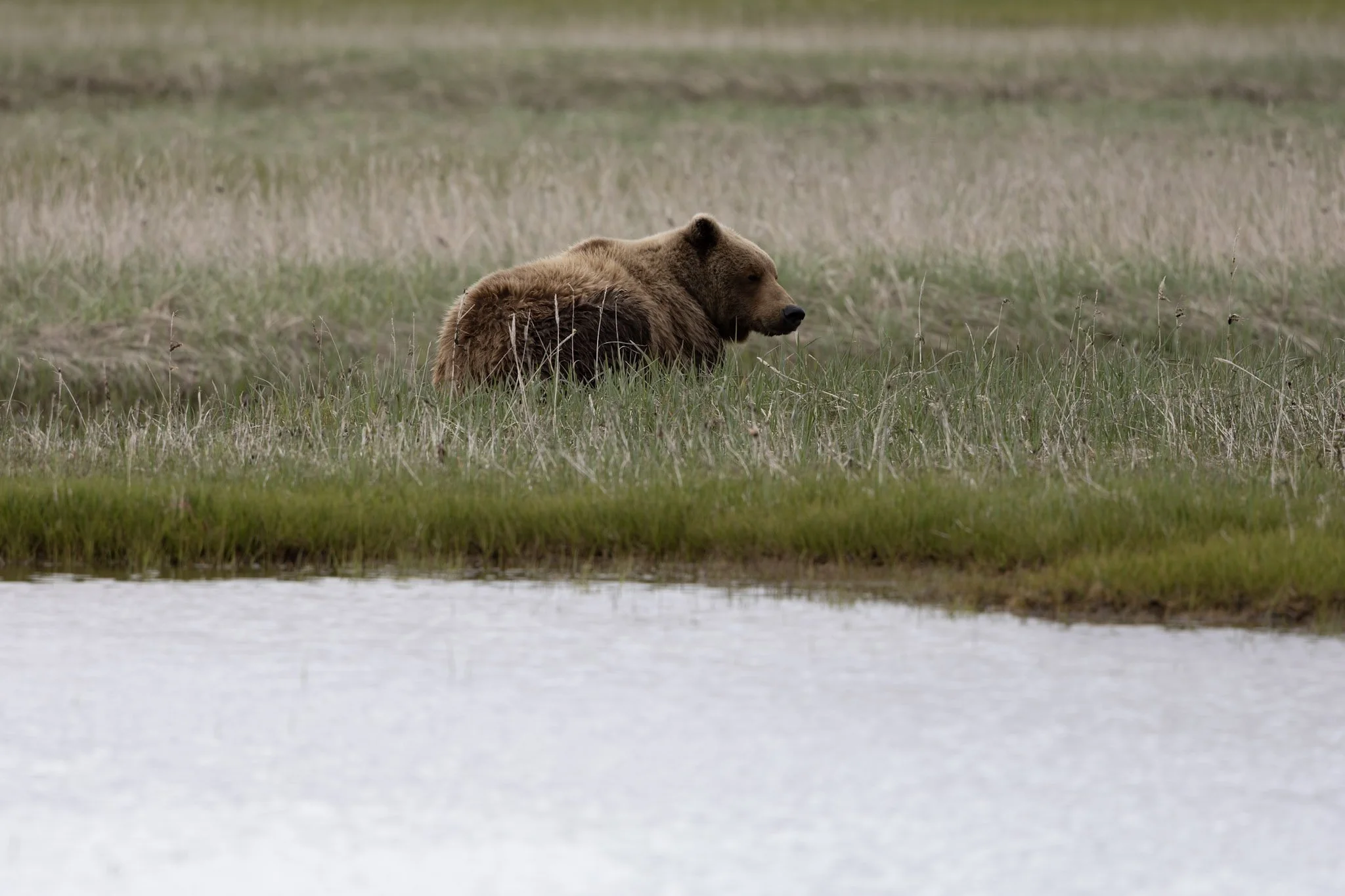 alaska-07.jpg