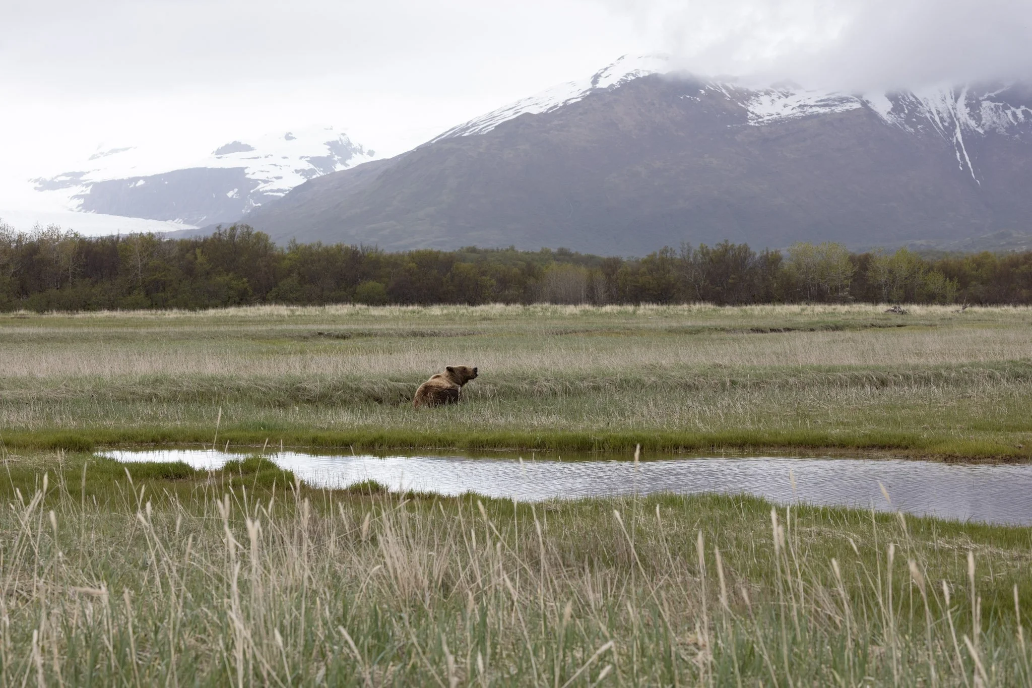 alaska-08.jpg