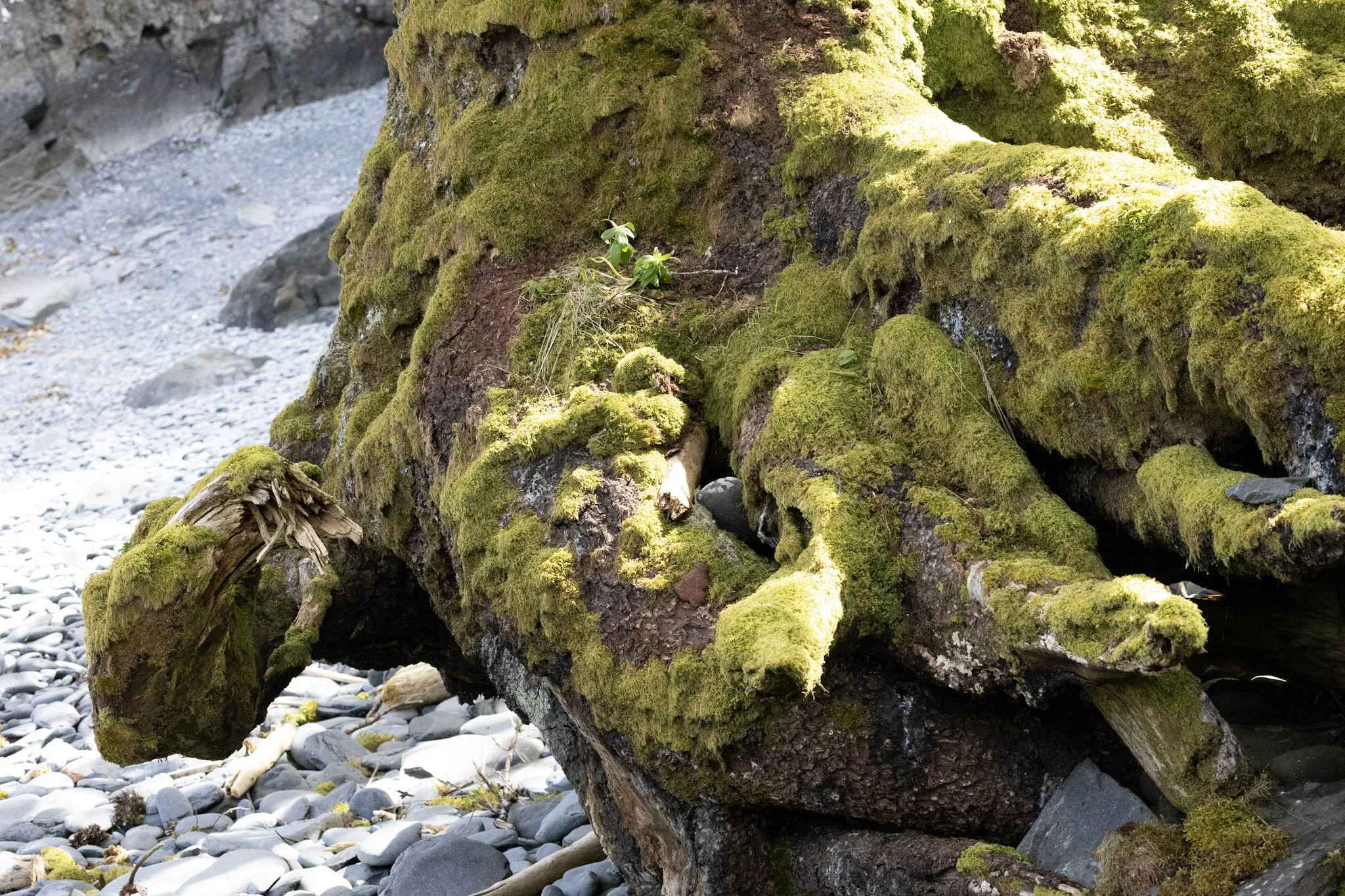 alaska-16.jpg