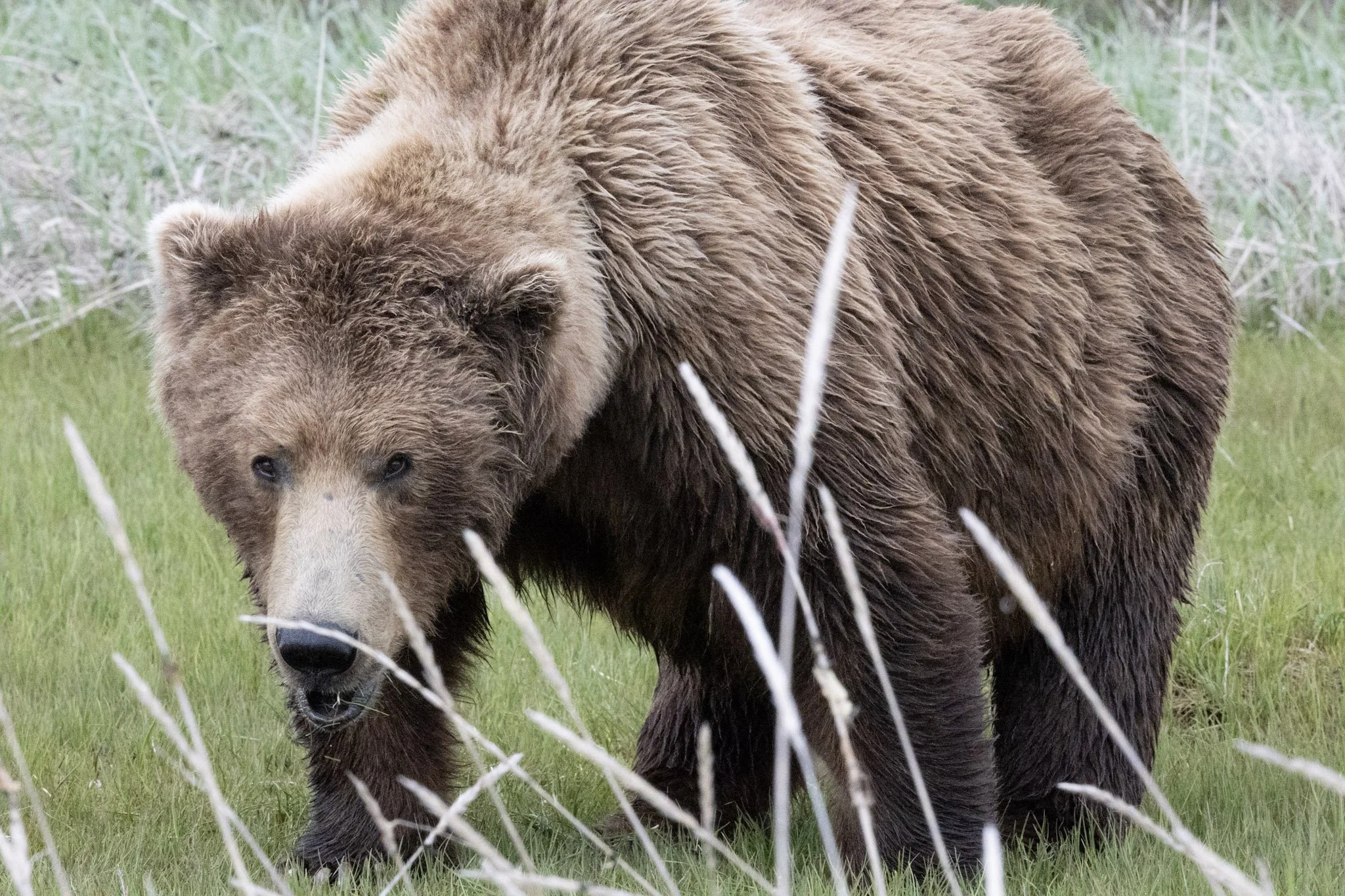 alaska-09.jpg