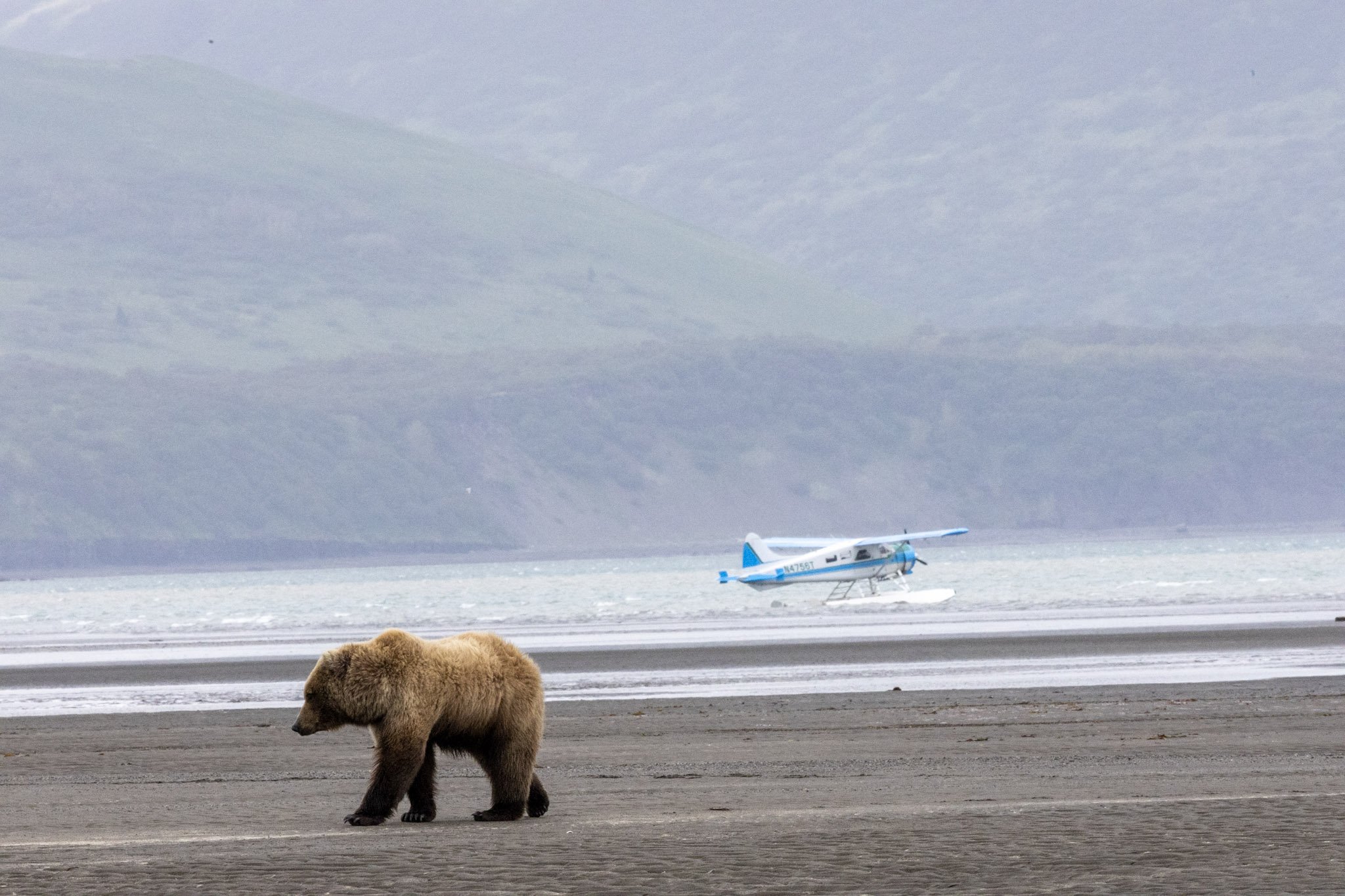 alaska-11.jpg