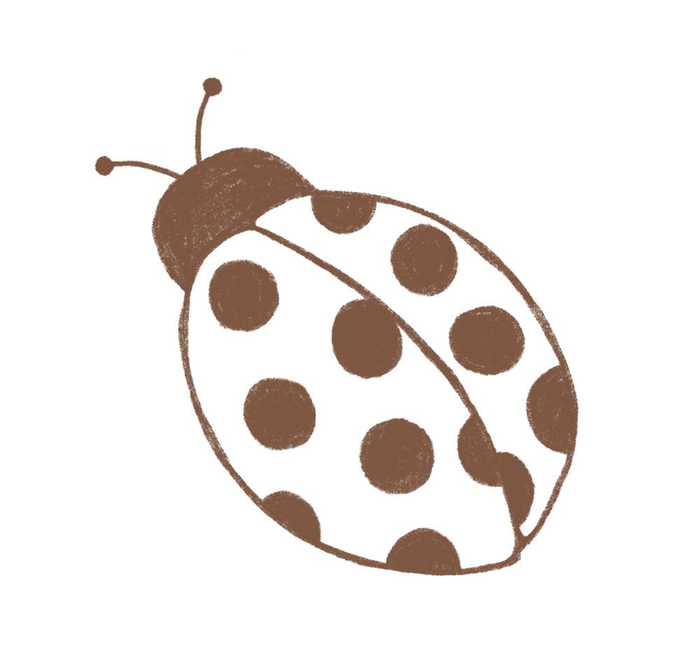 Simple illustration of a ladybug with brown and black coloring and spots.