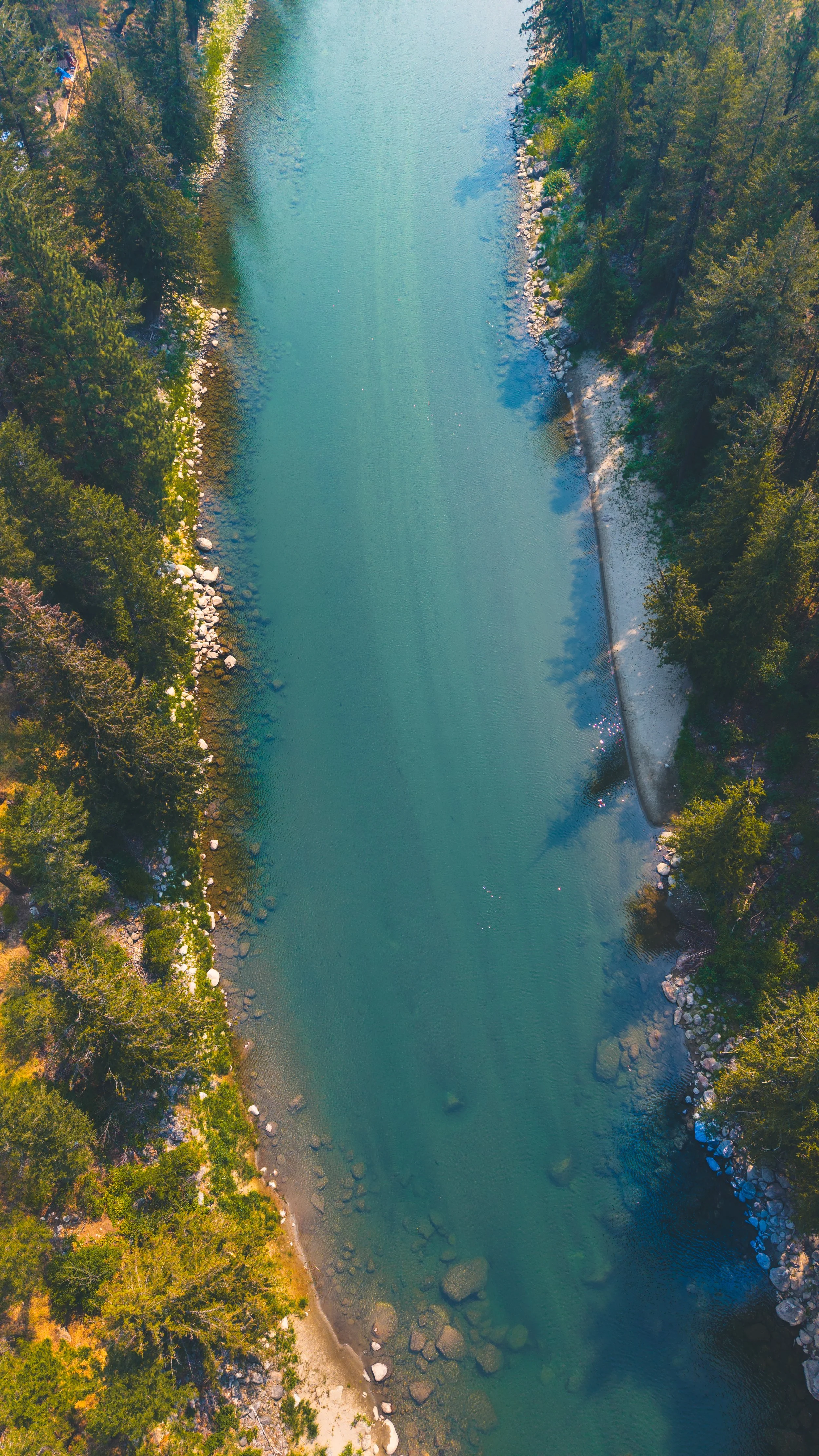 An aerial view of a river flowing between forested land with rocks along the shoreline and trees casting shadows on the water.