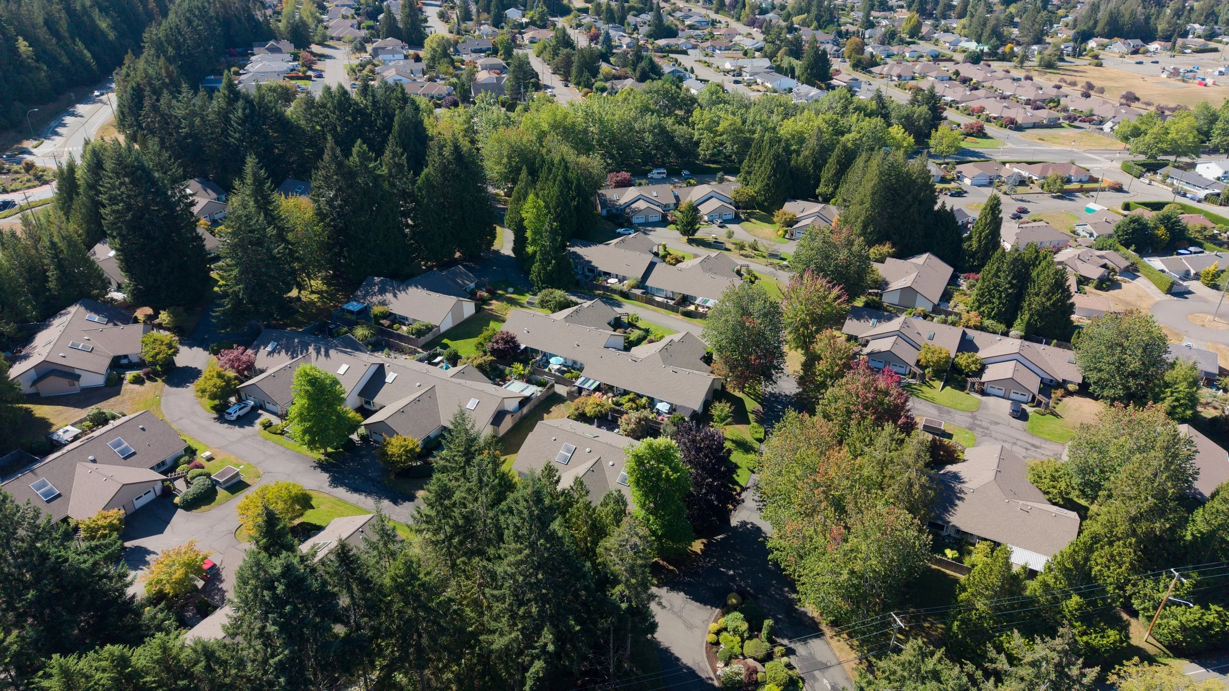 An aerial view of a suburban neighborhood with houses, trees, and streets.