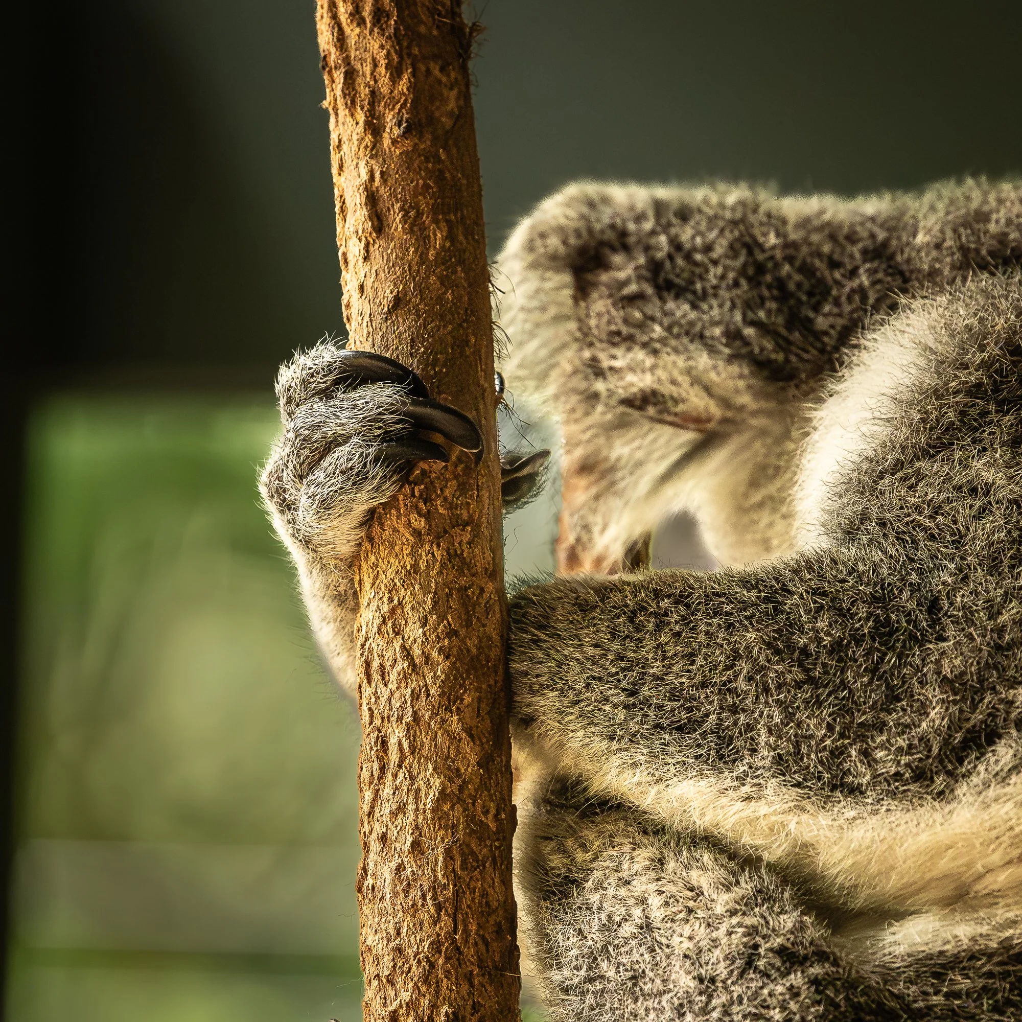 Hanging On
