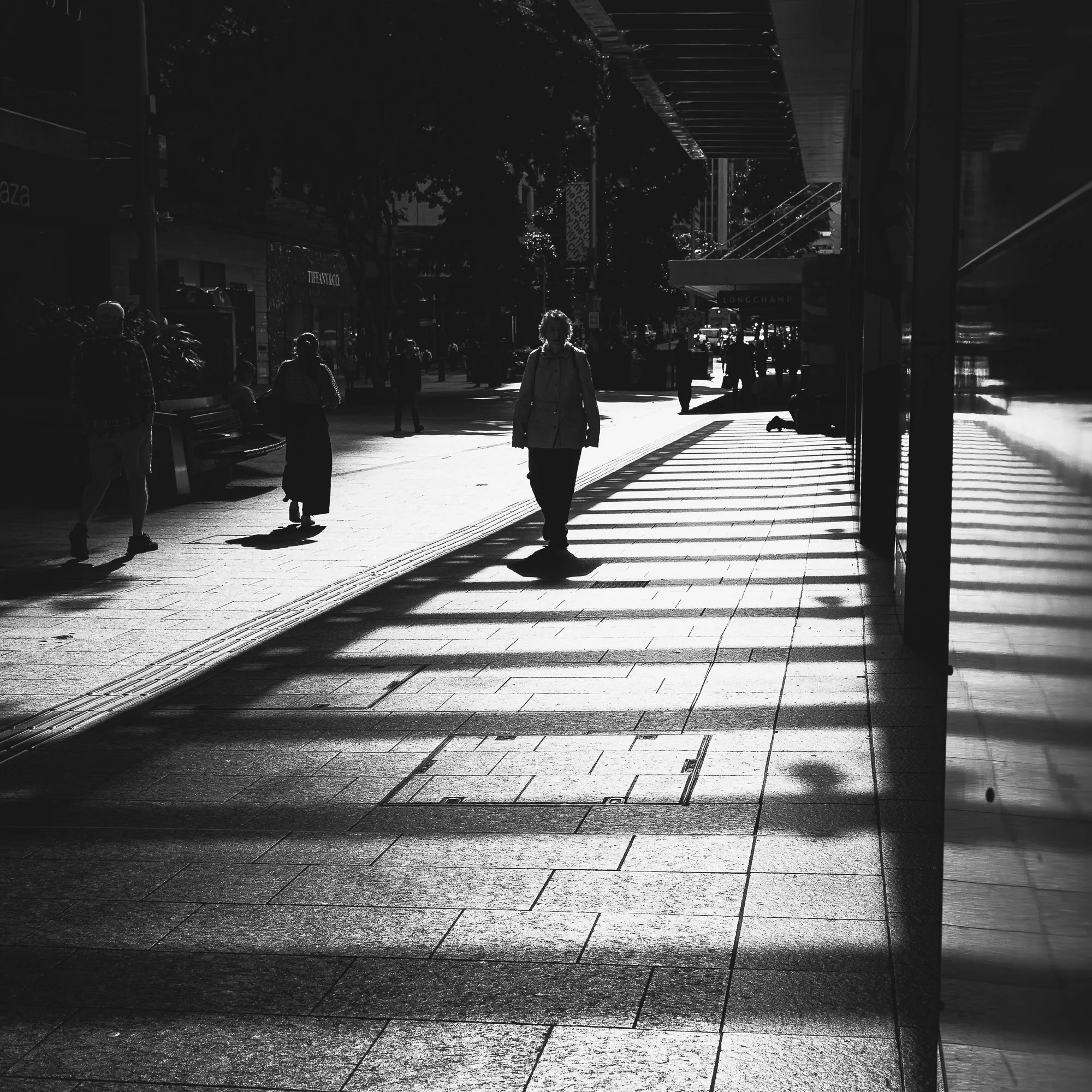 Shadow Walker