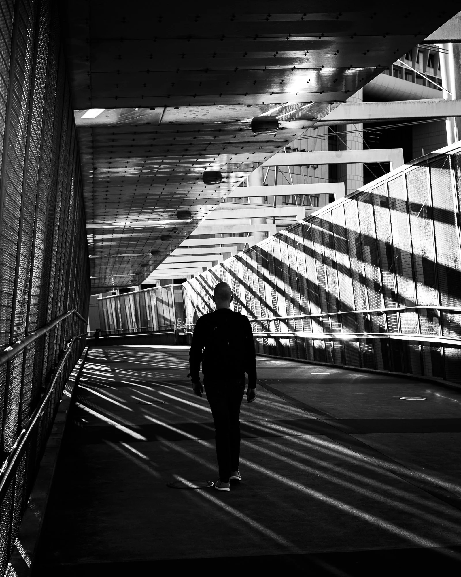 Into the Light