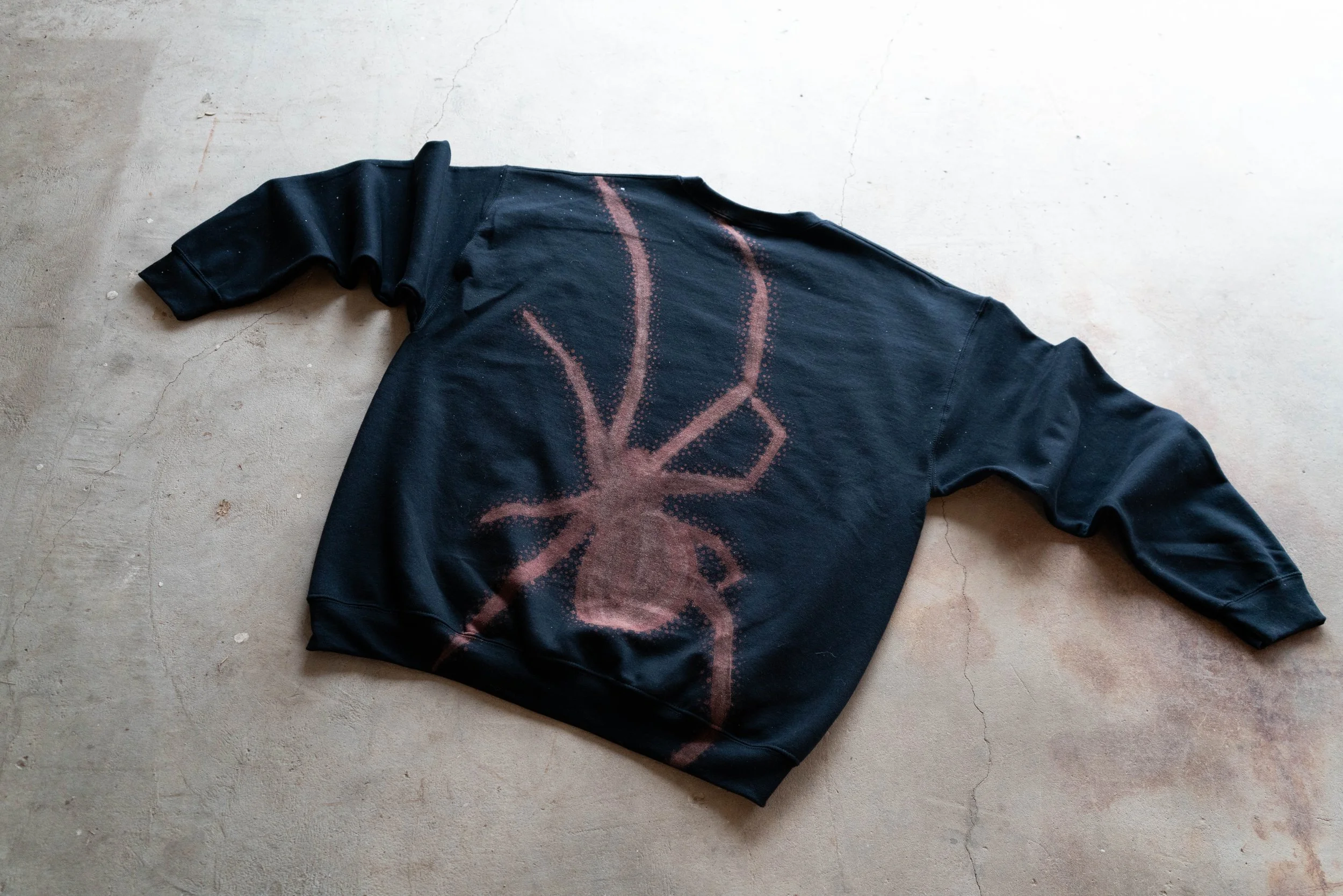 Zundel_Jacob_Spider_2026.jpg