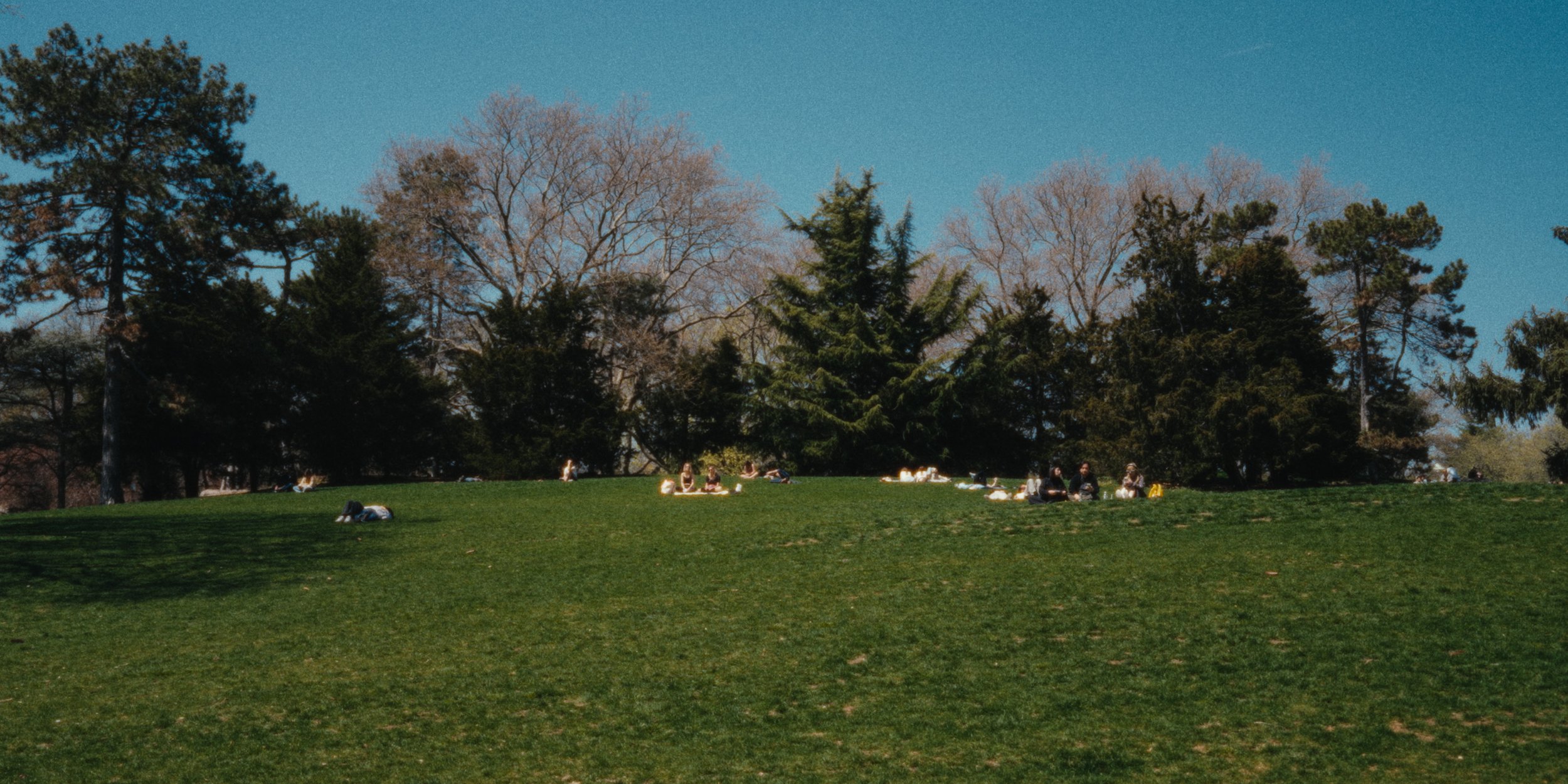 Frames.00_00_07_14.Still021.jpg