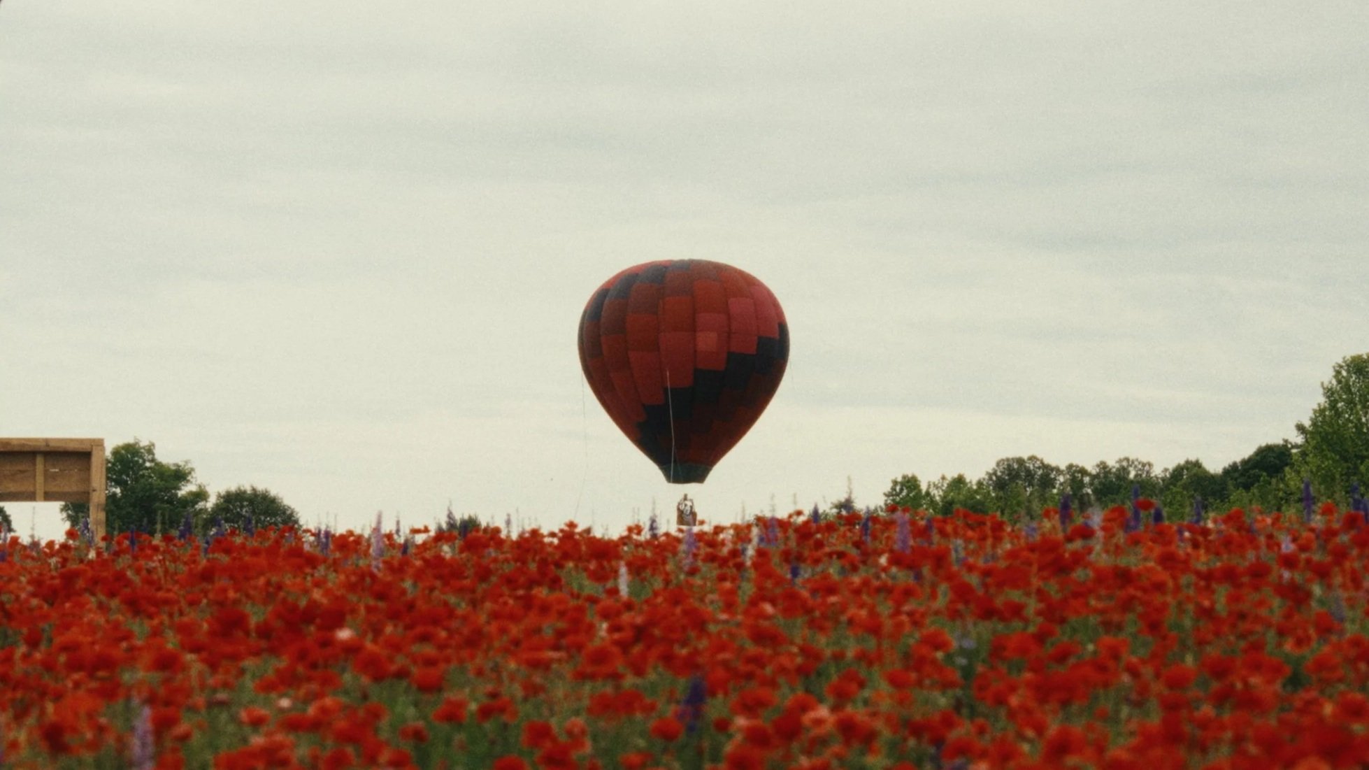Dogwood Farms
