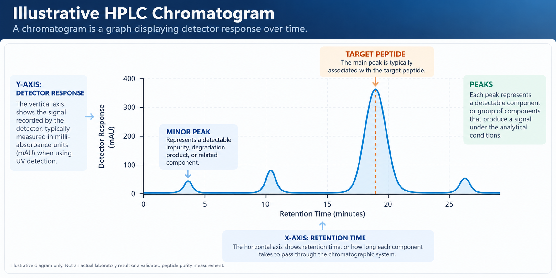 A chromatogram graph titled 'Illustrative HPLC Chromatogram' shows detector response over time. The x-axis is labeled 'Retention Time' in minutes and the y-axis is labeled 'Detector Response' in mAU. The graph features several peaks, with a prominent peak labeled 'Target Peptide' at around 20 minutes retention time, indicating the main peak associated with the target peptide. Additional smaller peaks are labeled 'Minor Peak' around 4 and 11 minutes, and 'Peaks' marked at approximately 24 minutes. The graph includes colored text boxes explaining the significance of the peaks, detector response, retention time, and peaks, along with notes about the graph's purpose.