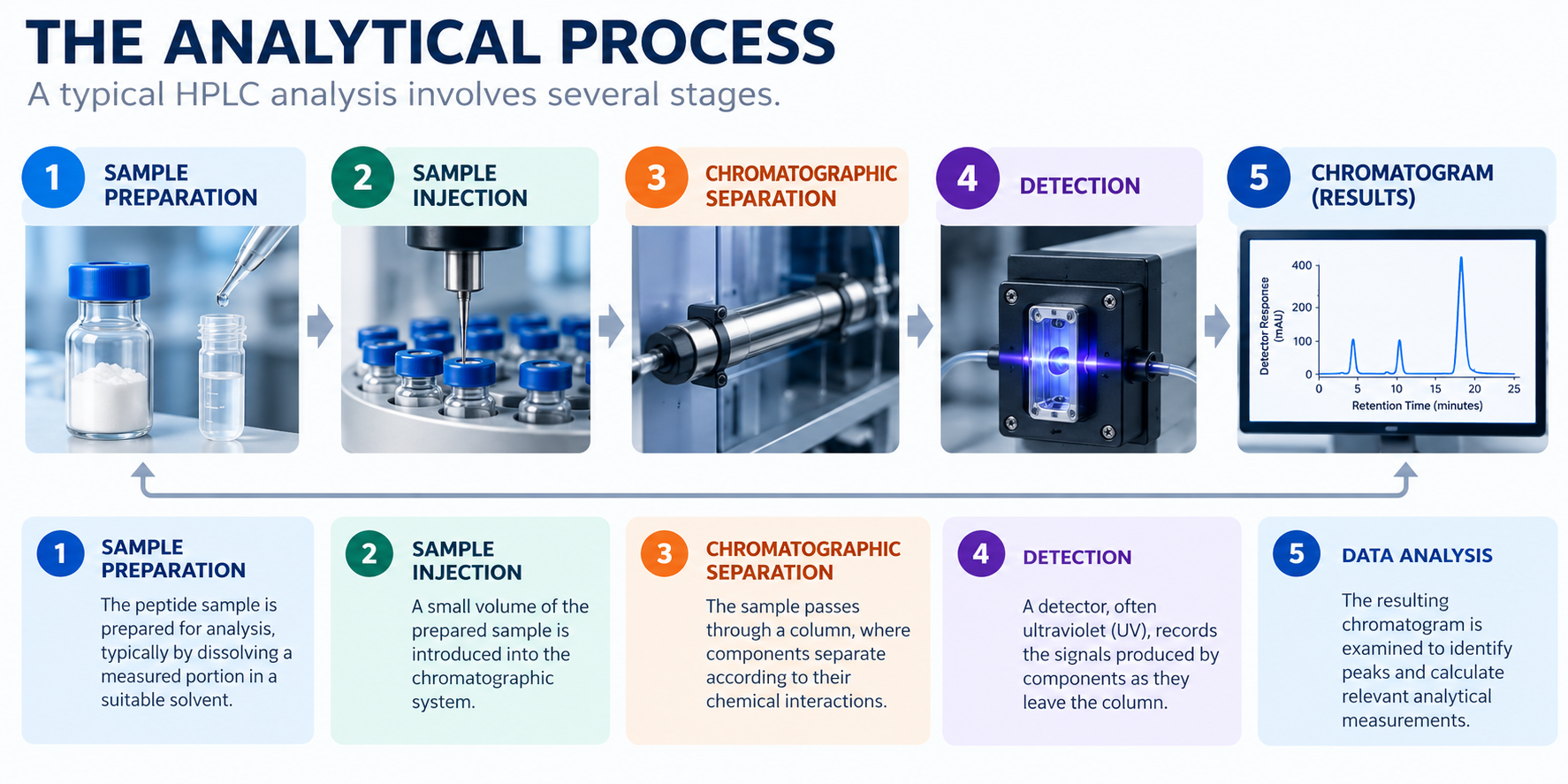 Flowchart illustrating the steps of the analytical process for HPLC analysis, including sample preparation, sample injection, chromatographic separation, detection, and chromatography results.