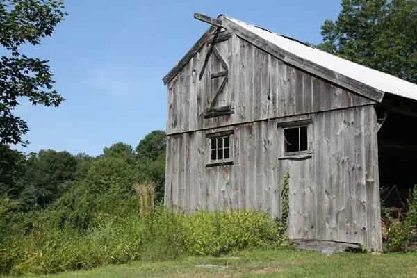 Lachat Town Farm