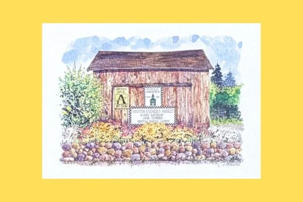 Weston Gift Sale: Summer at the Onion Barn Cards