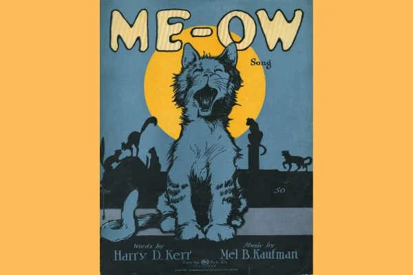 Cats, Bananas & Cars, Oh my! - New York Novelty Songs of the 1920s