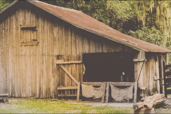 Farmers & Bootleggers in Weston/Westport Area Video with Richard Webb Jr.