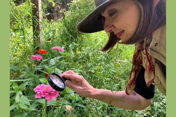Honeybees and Honey: Historical Notes from a Local Beekeeper - Virtual Lecture