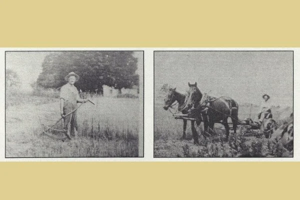 Weston History Bites: Hay Harvest